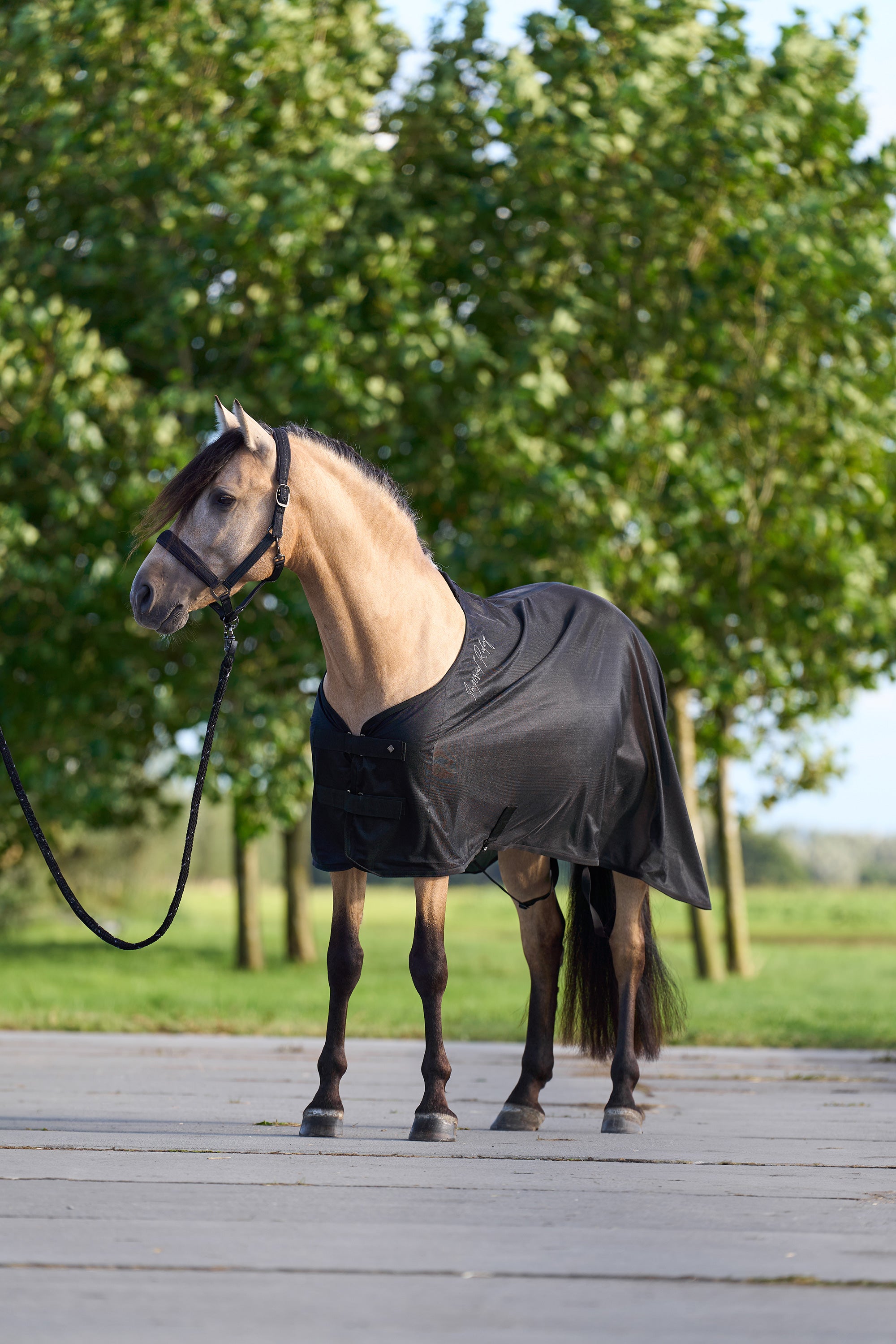 Transport blanket IRHMesh Black / 215