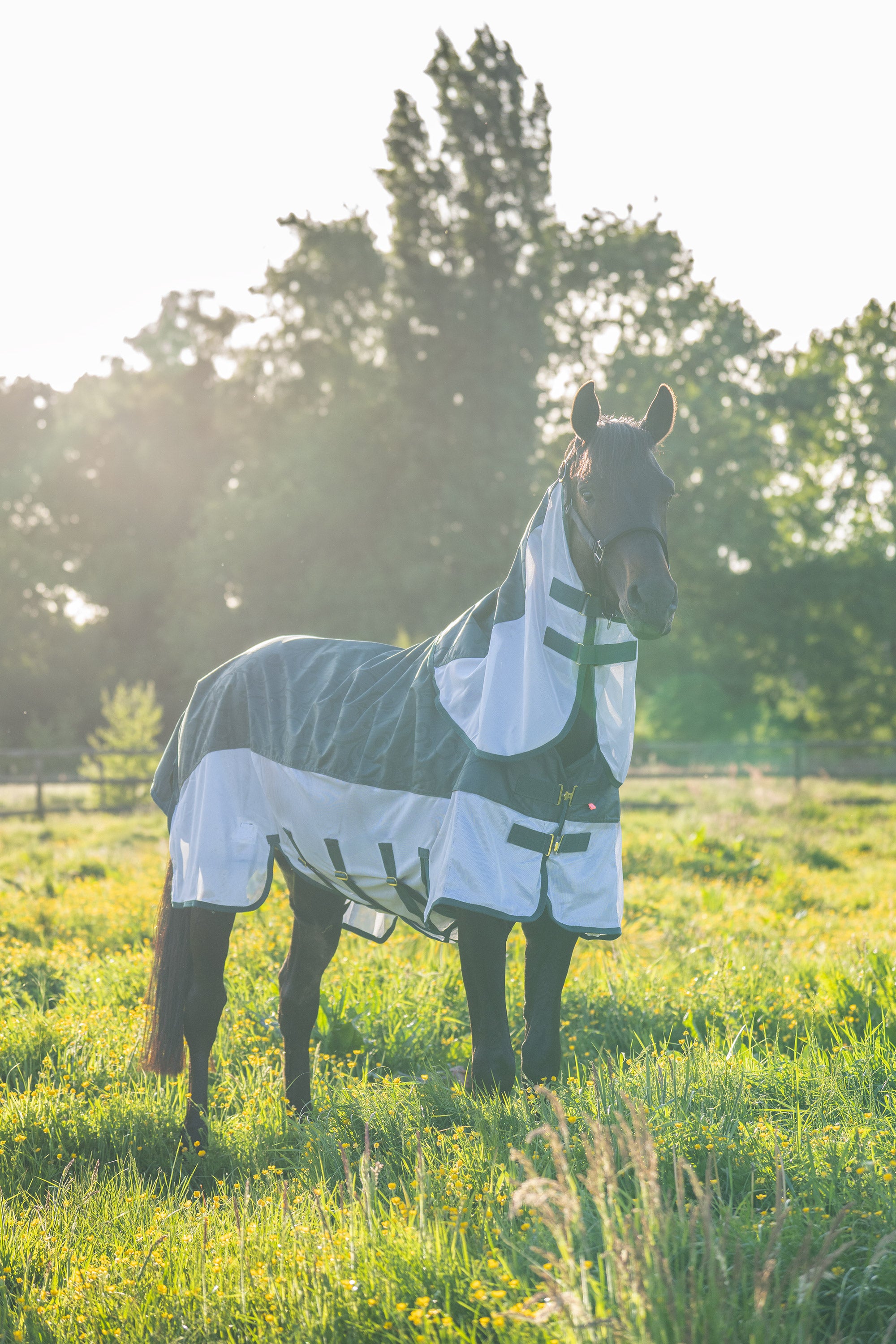 Rain & Fly blanket IRHSuper-dry Forest green / 215