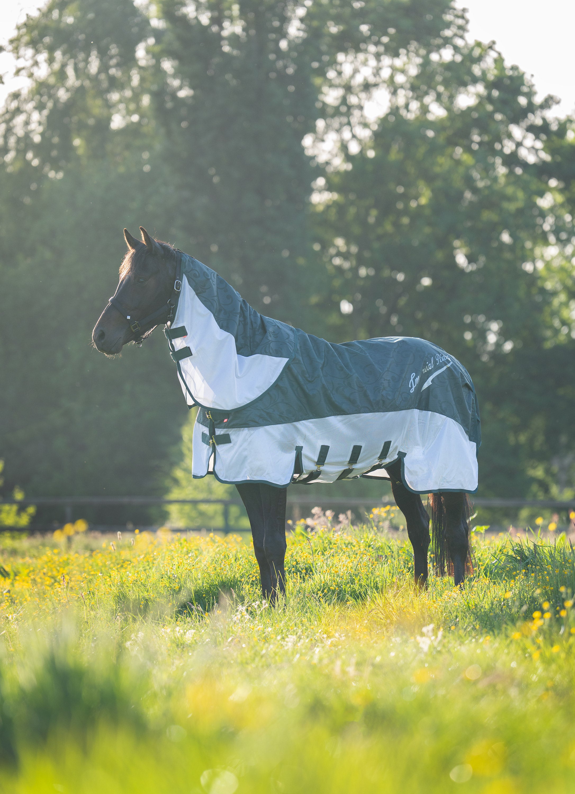 Rain & Fly blanket IRHSuper-dry Forest green / 215