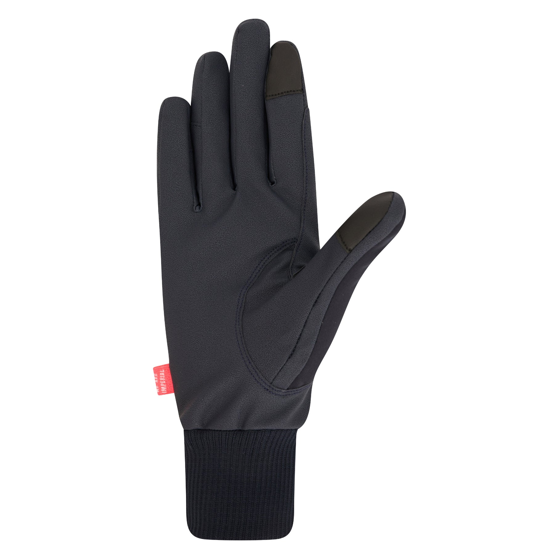 Gloves IRHHide & Shine Navy / 2XL