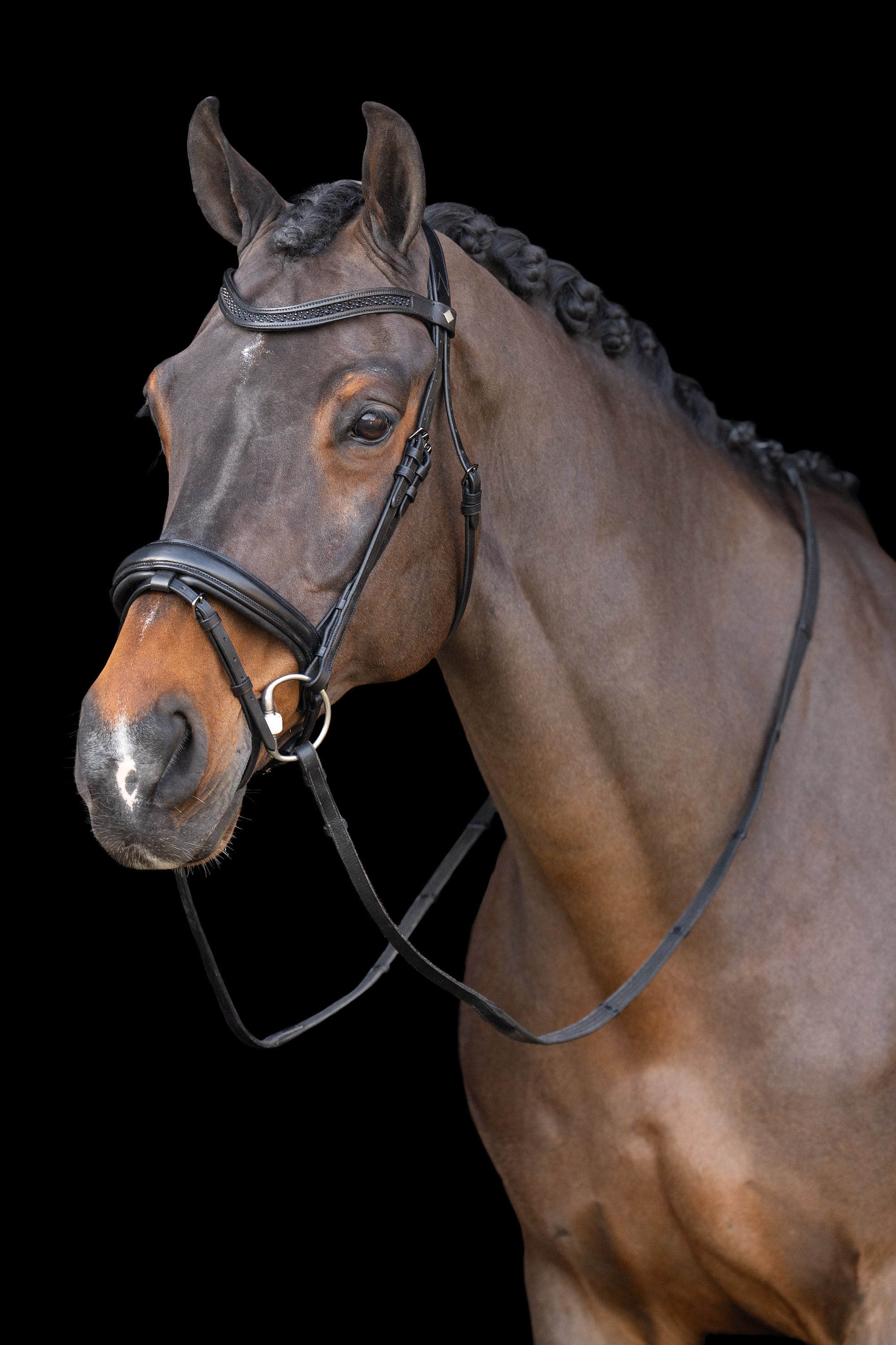 Snaffle bridle with English noseband IRH Black-Black / SH/S
