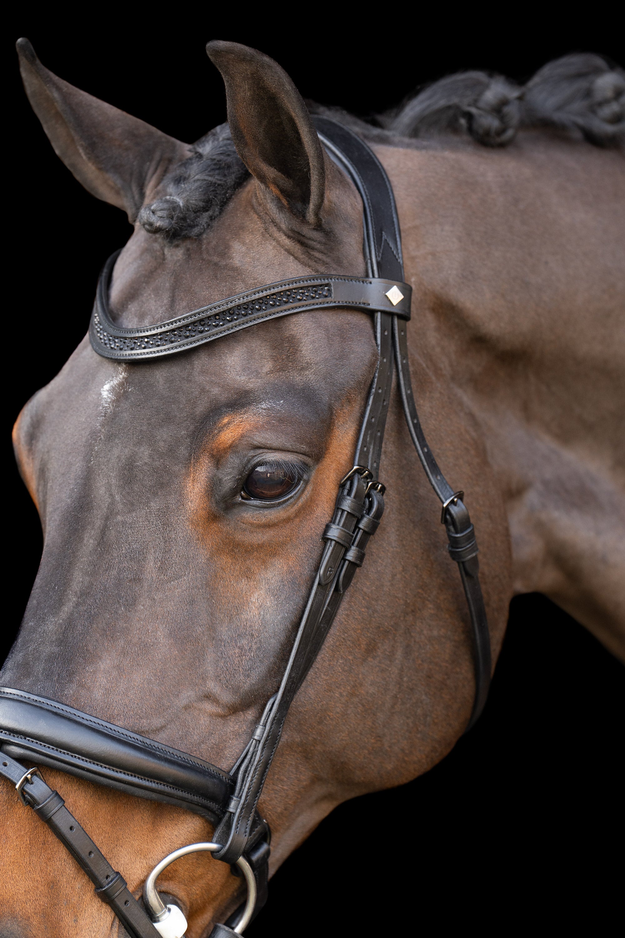 Snaffle bridle with English noseband IRH Black-Black / SH/S