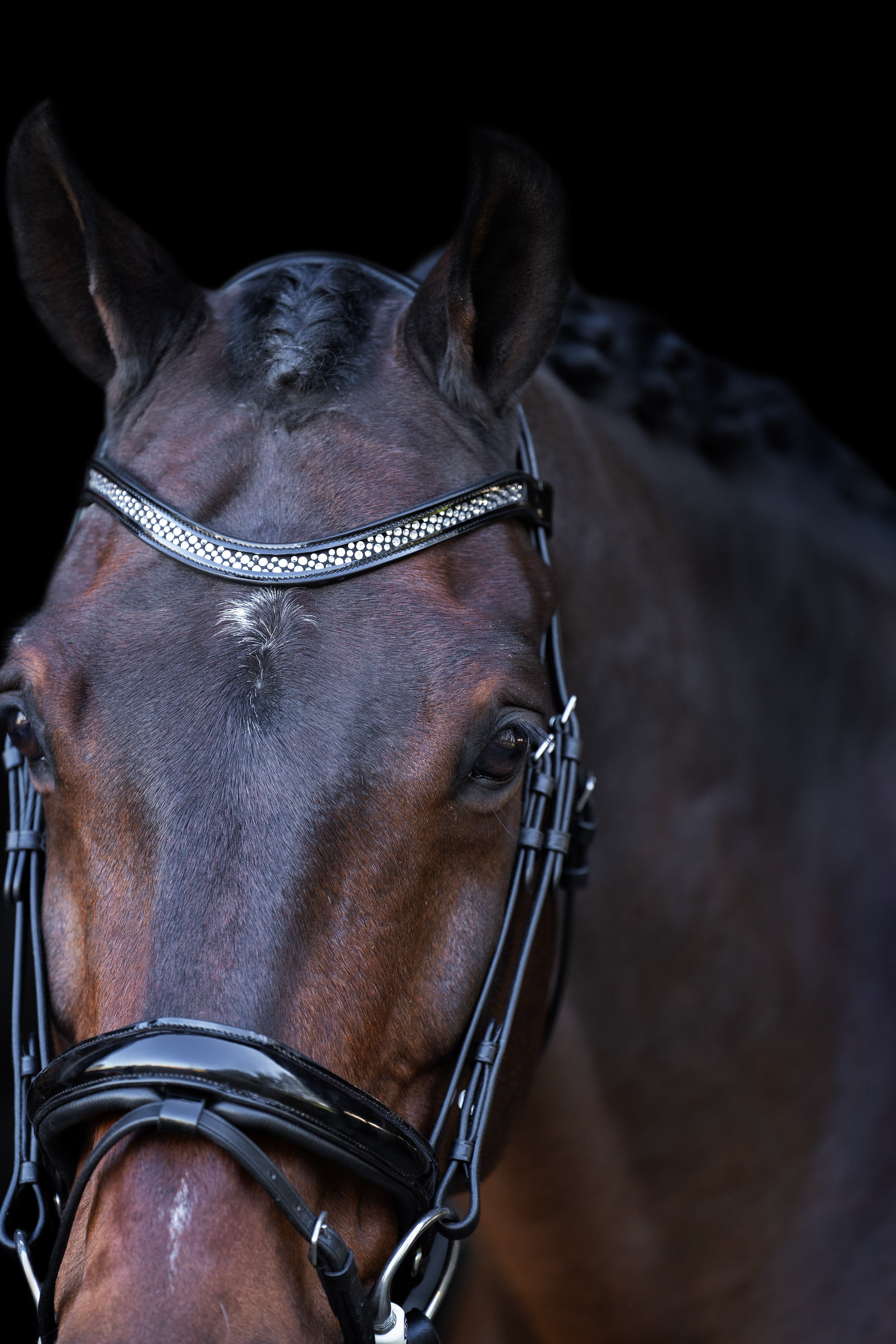 Snaffle bridle with English noseband IRH Black-Crystal / SH/S