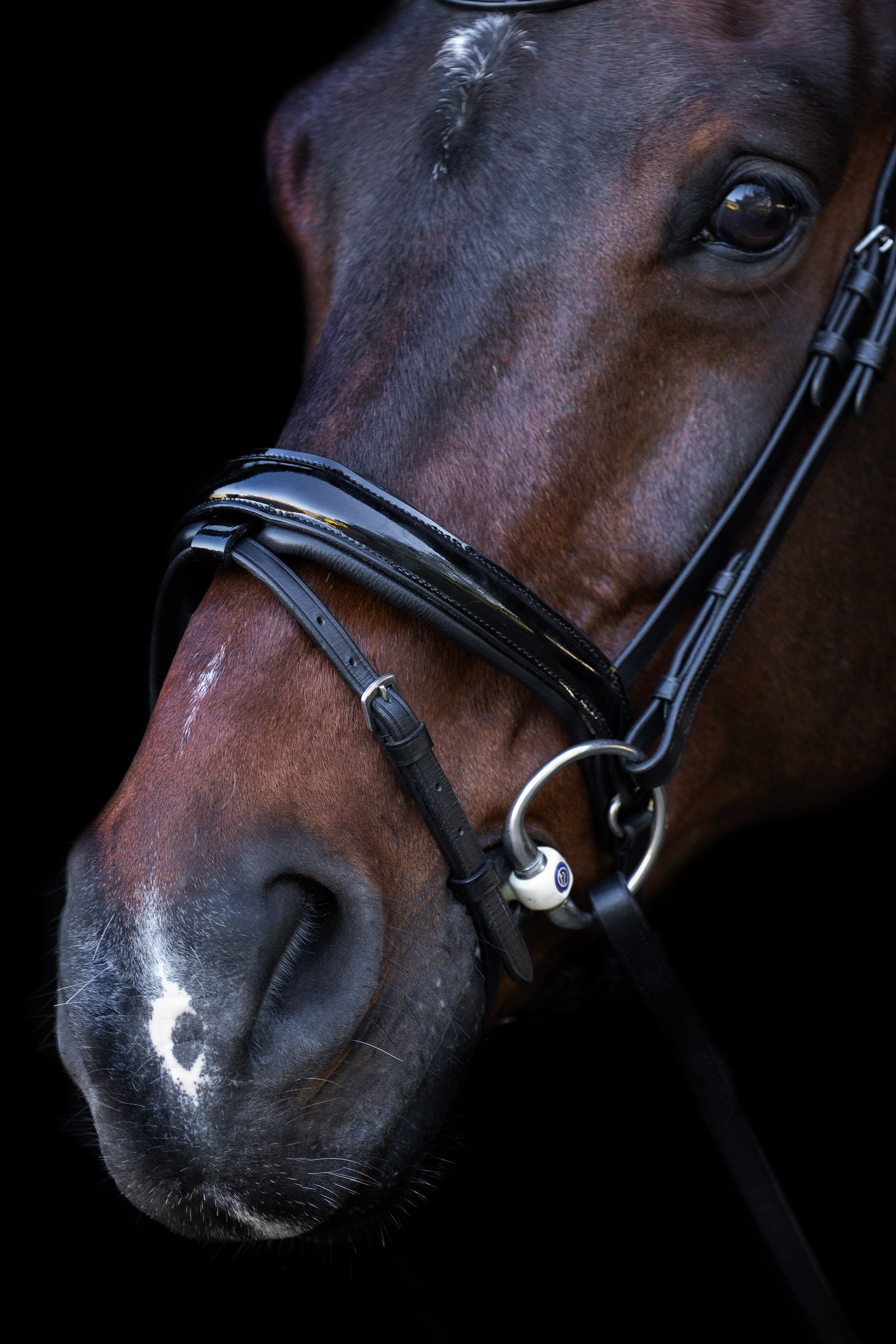 Snaffle bridle with English noseband IRH Black-Crystal / SH/S