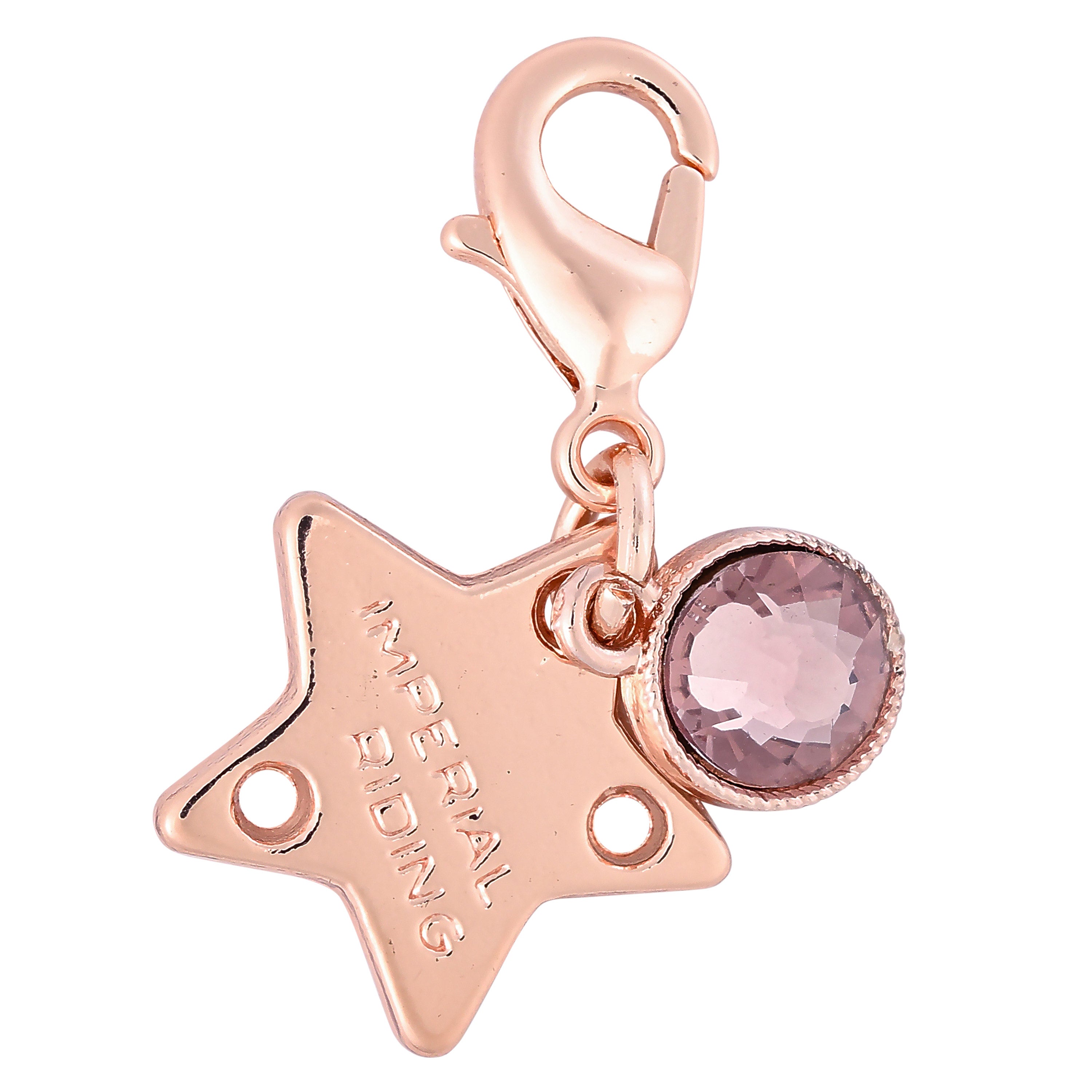 Bridle Charms IRHBirthstone rosegold, set of 12 pcs Roségold / 1SIZE