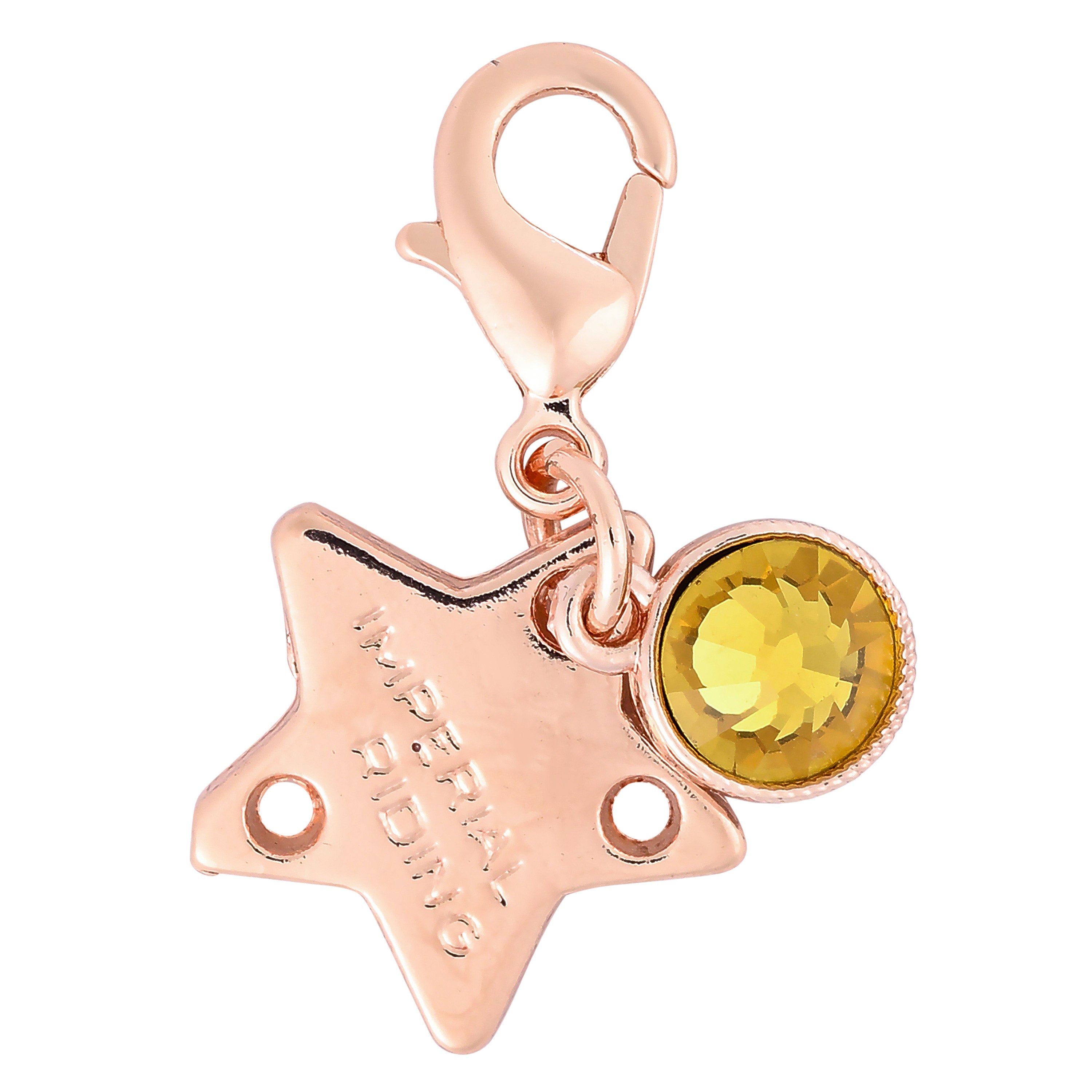 Bridle Charms IRHBirthstone rosegold, set of 12 pcs Roségold / 1SIZE