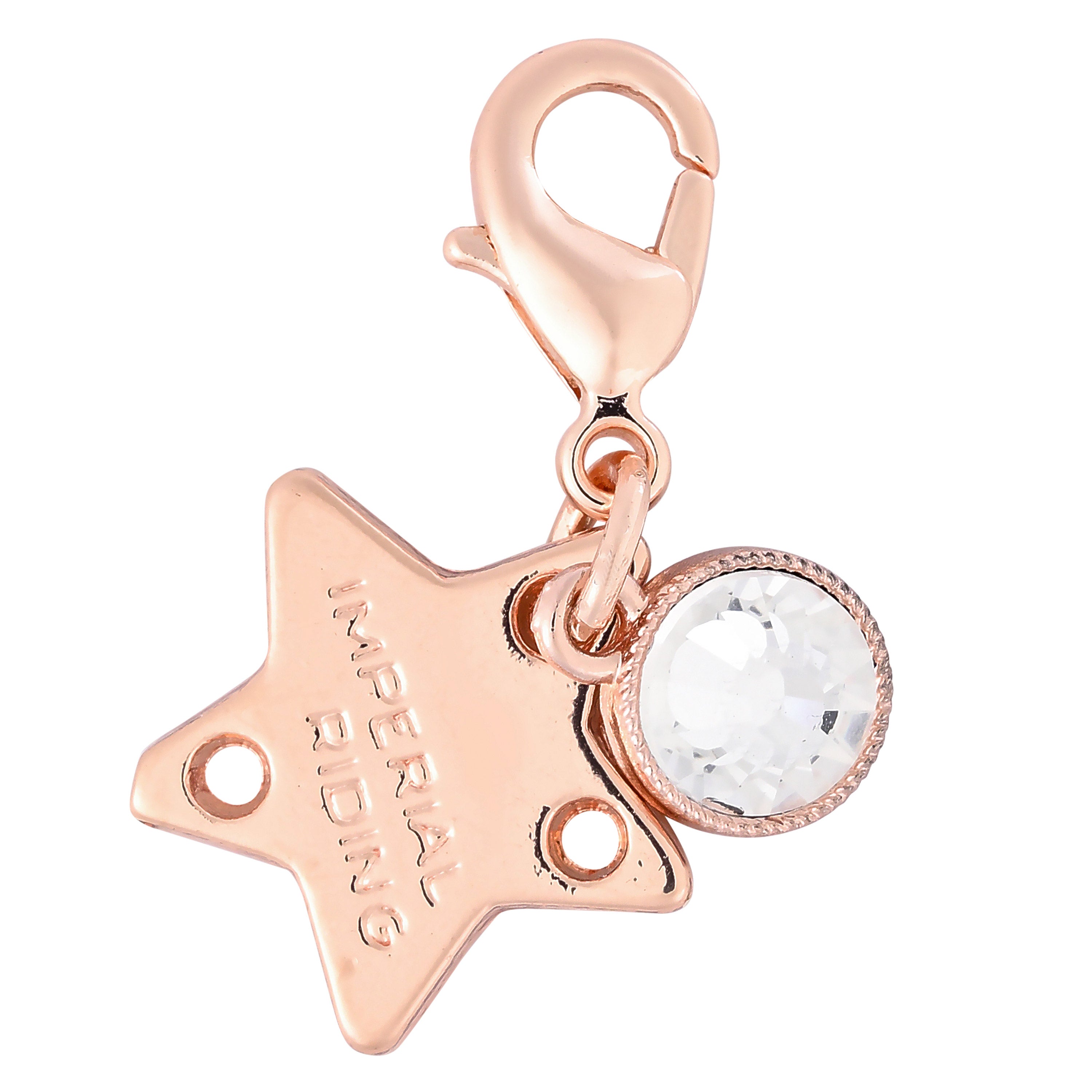 Bridle Charms IRHBirthstone rosegold, set of 12 pcs Roségold / 1SIZE