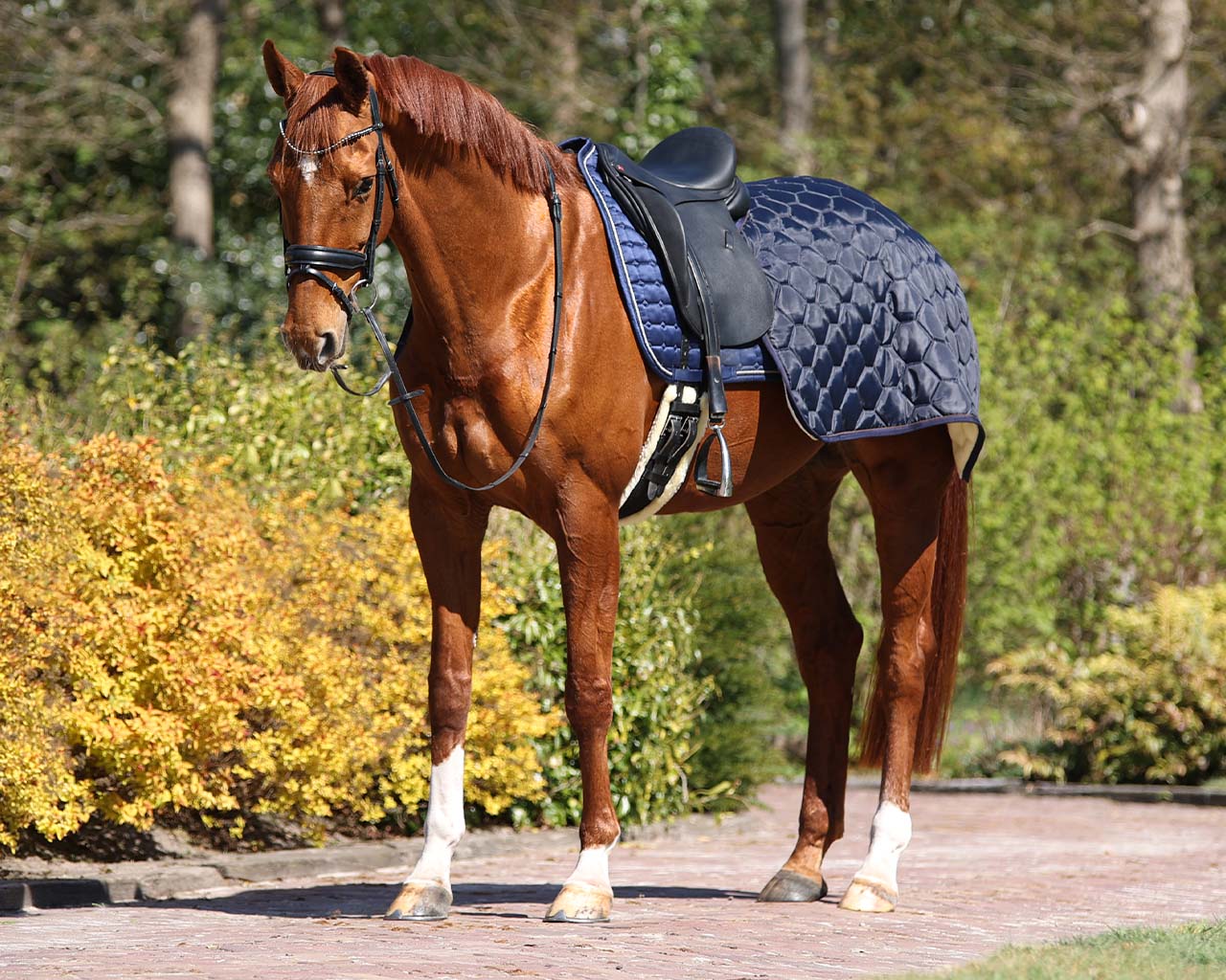 Quarter rug Classy Navy / S