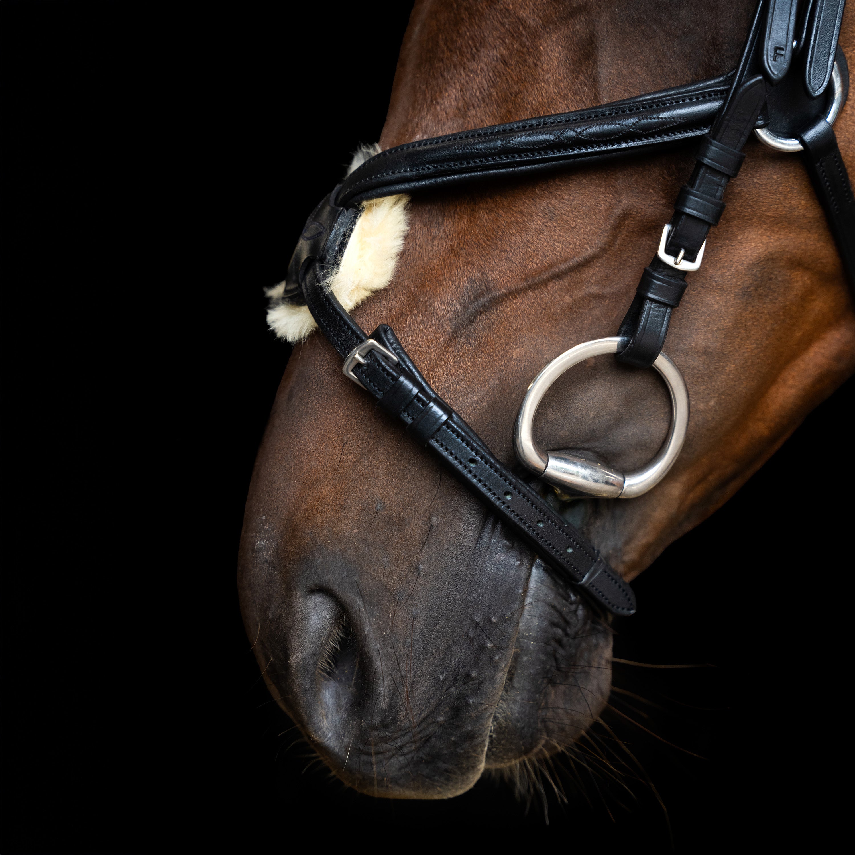 Bridle Mexican IRH