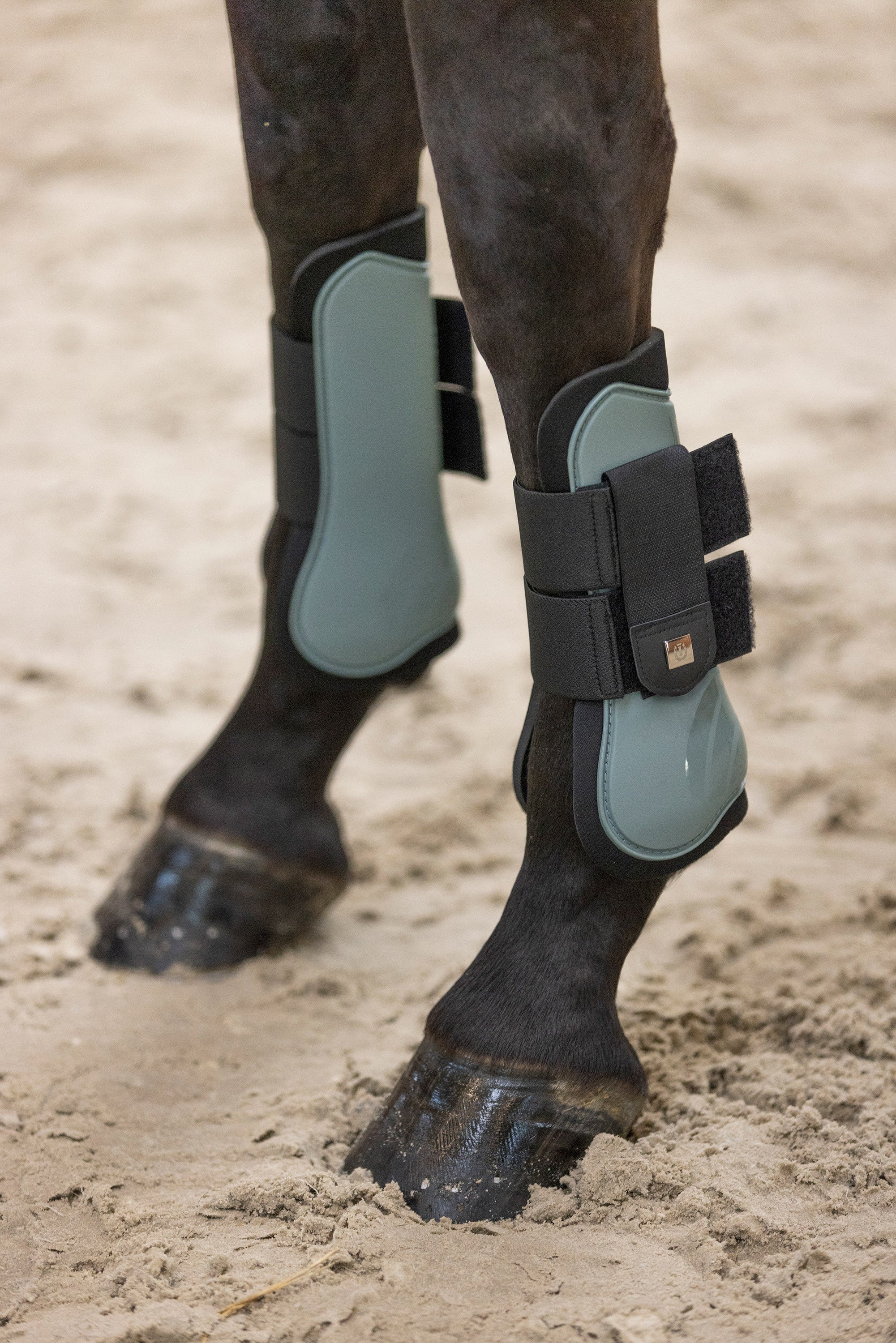 Tendon boots IRHLovely