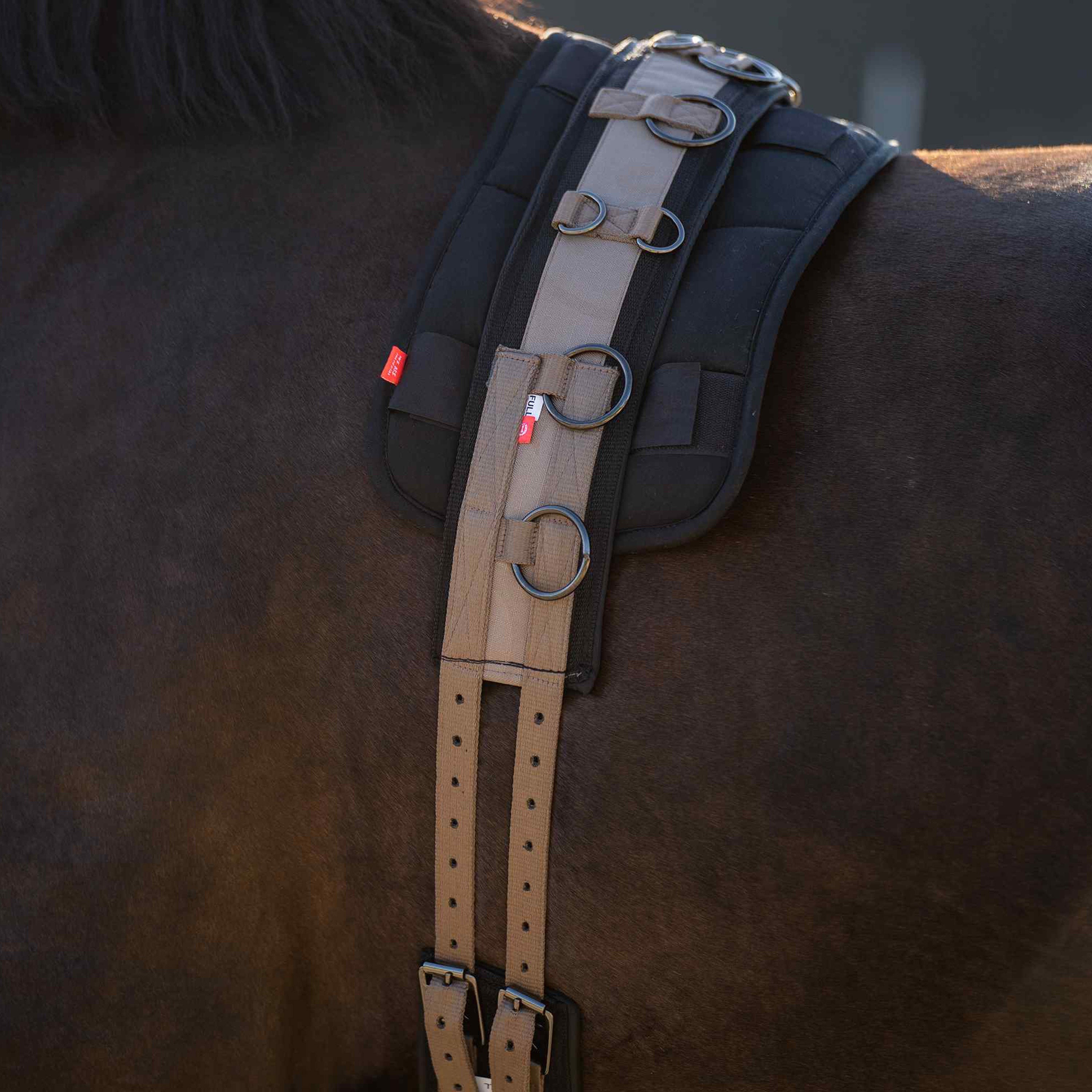 Lunging girth IRHDeluxe Extra