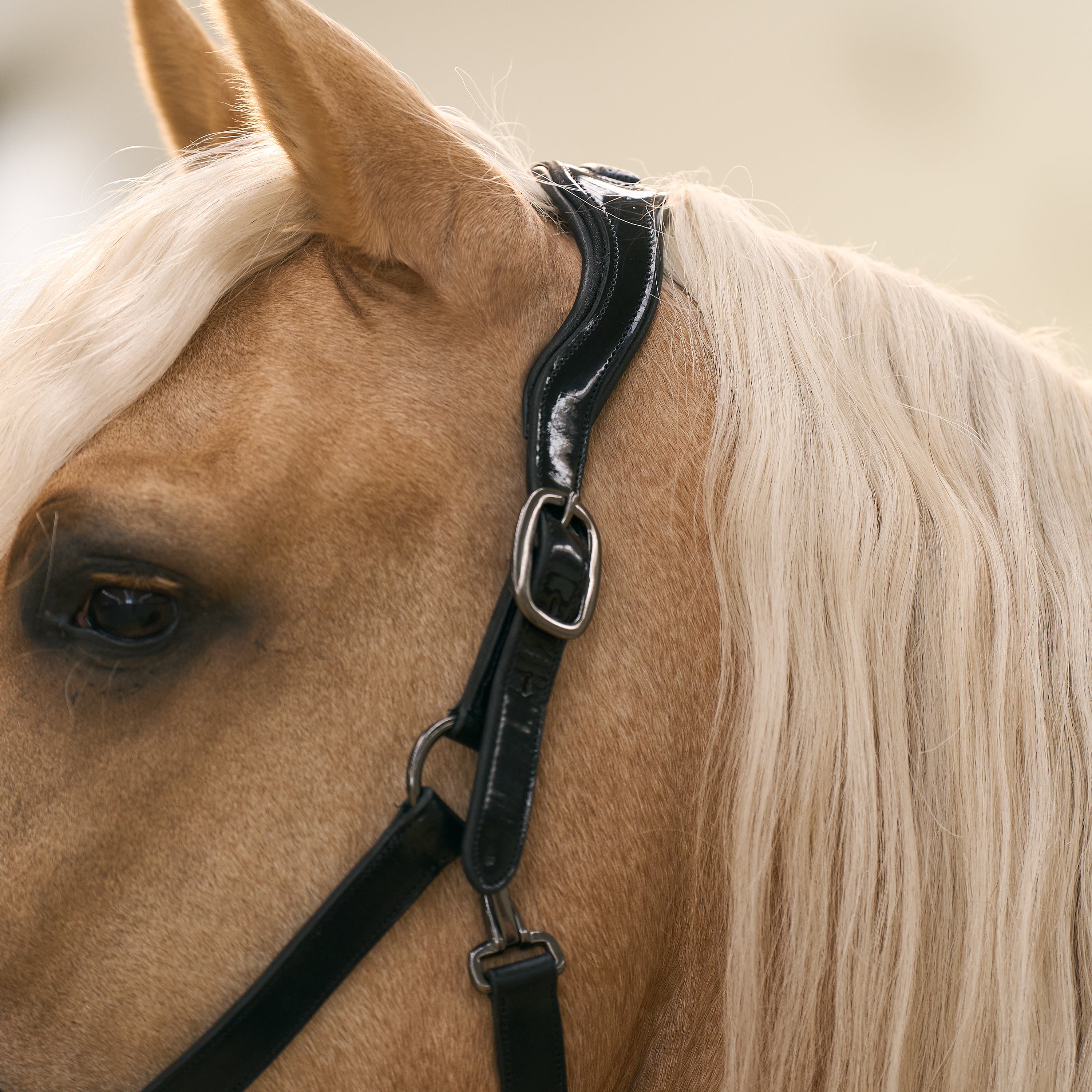 Headcollar IRHHera