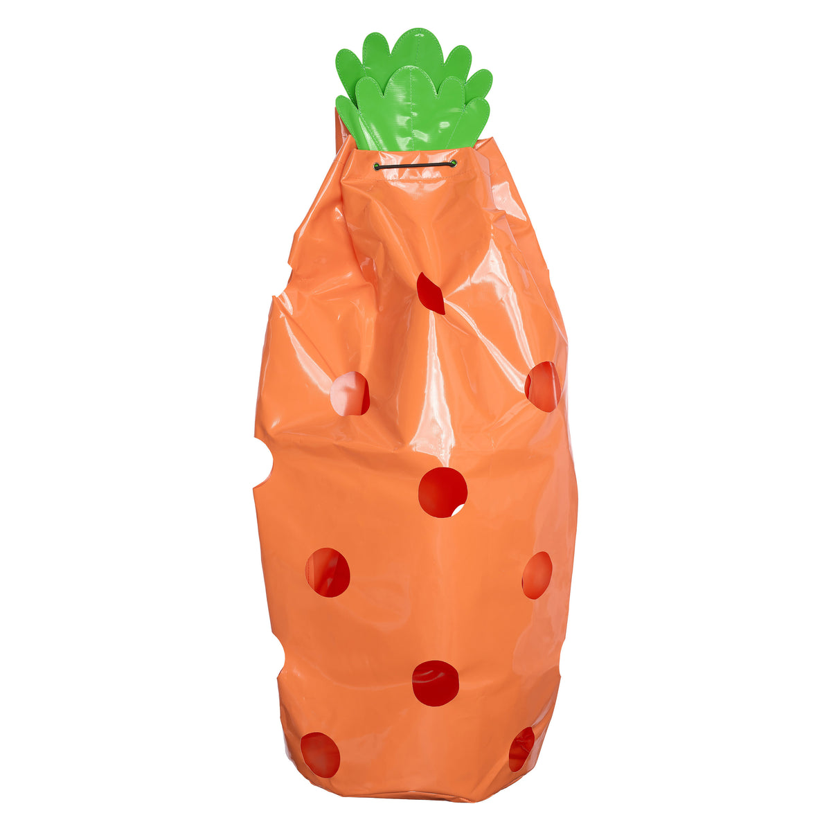 Hay bag IRHCarrot