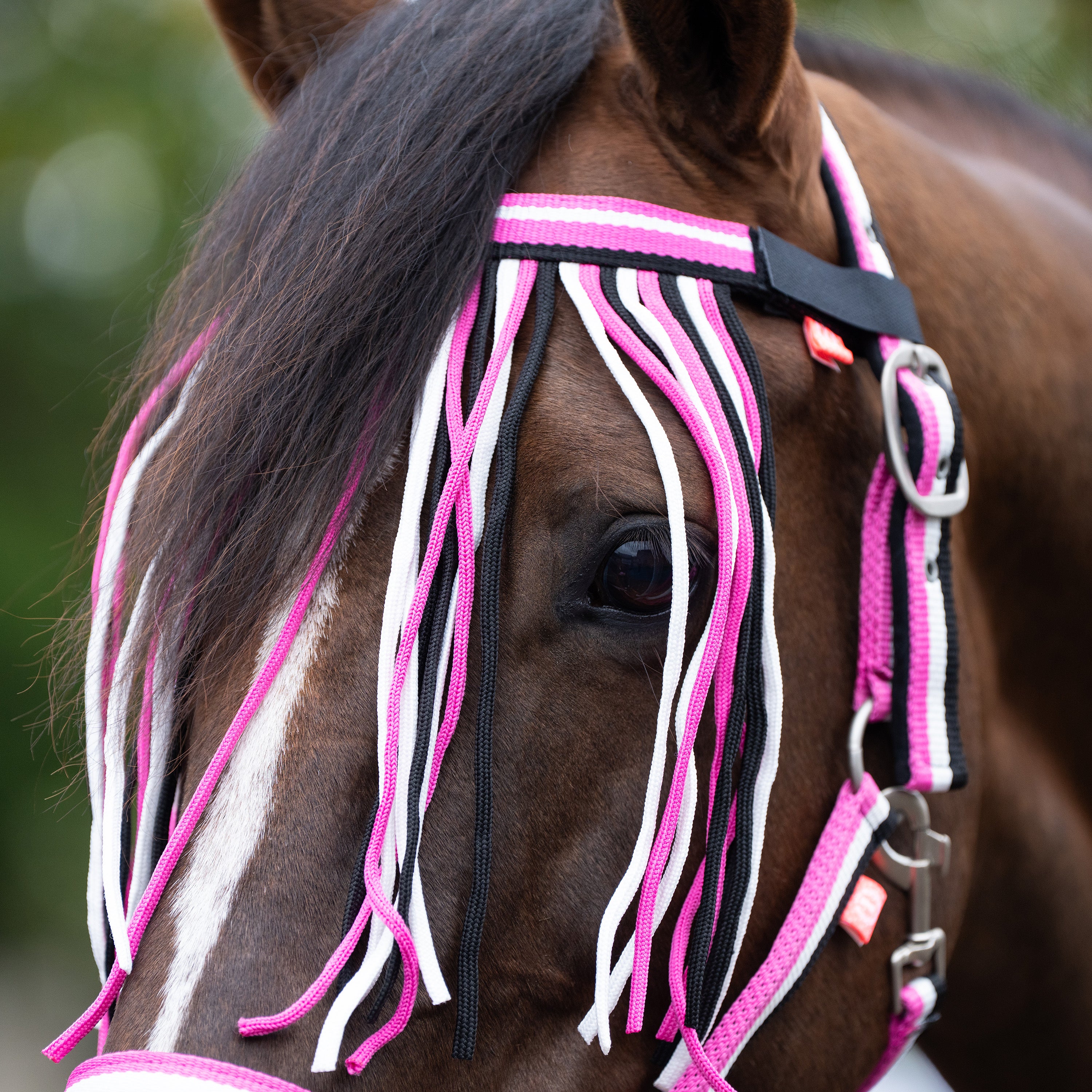 Set of headcollar, lead rope and flyfringes IRH