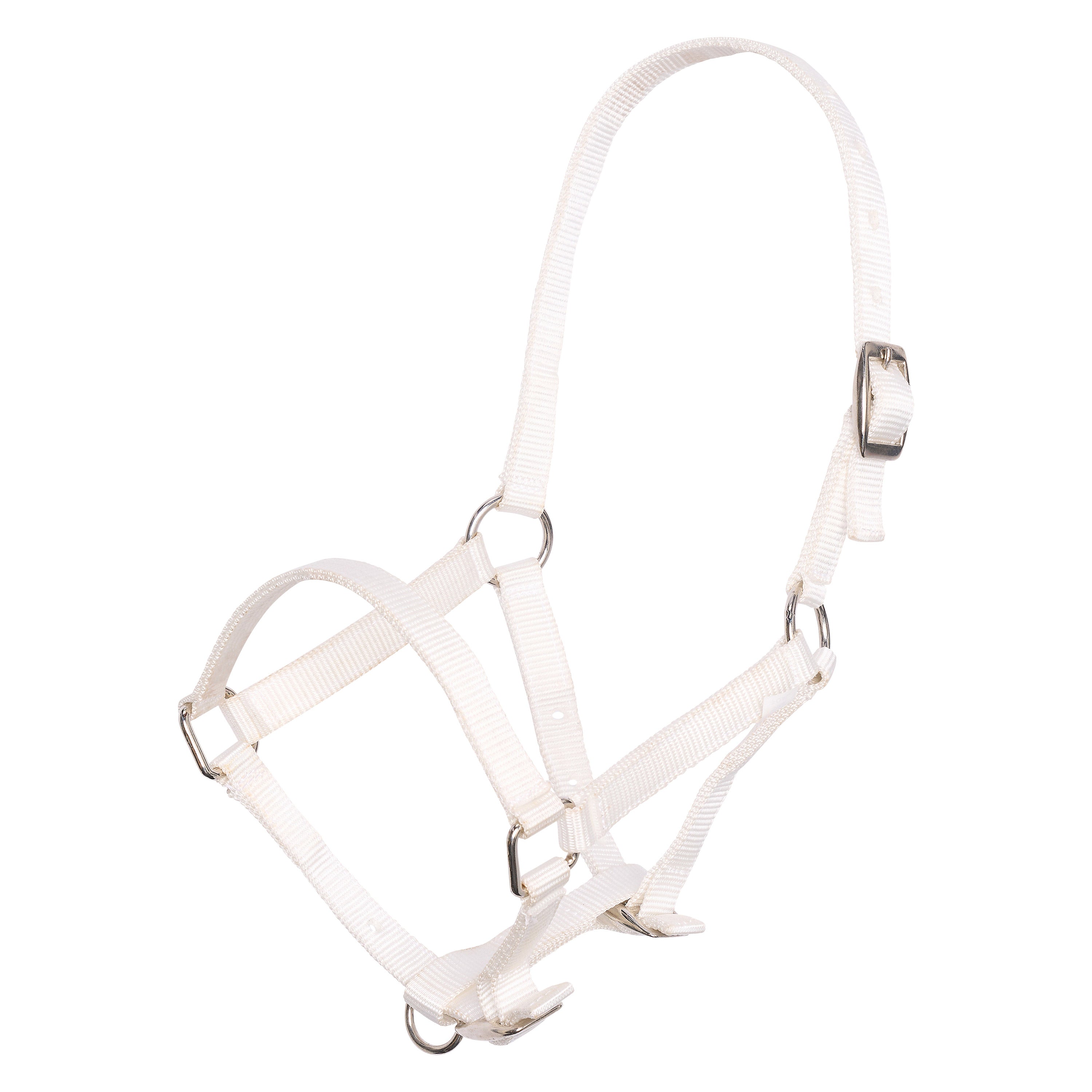 Headcollar foal IRH