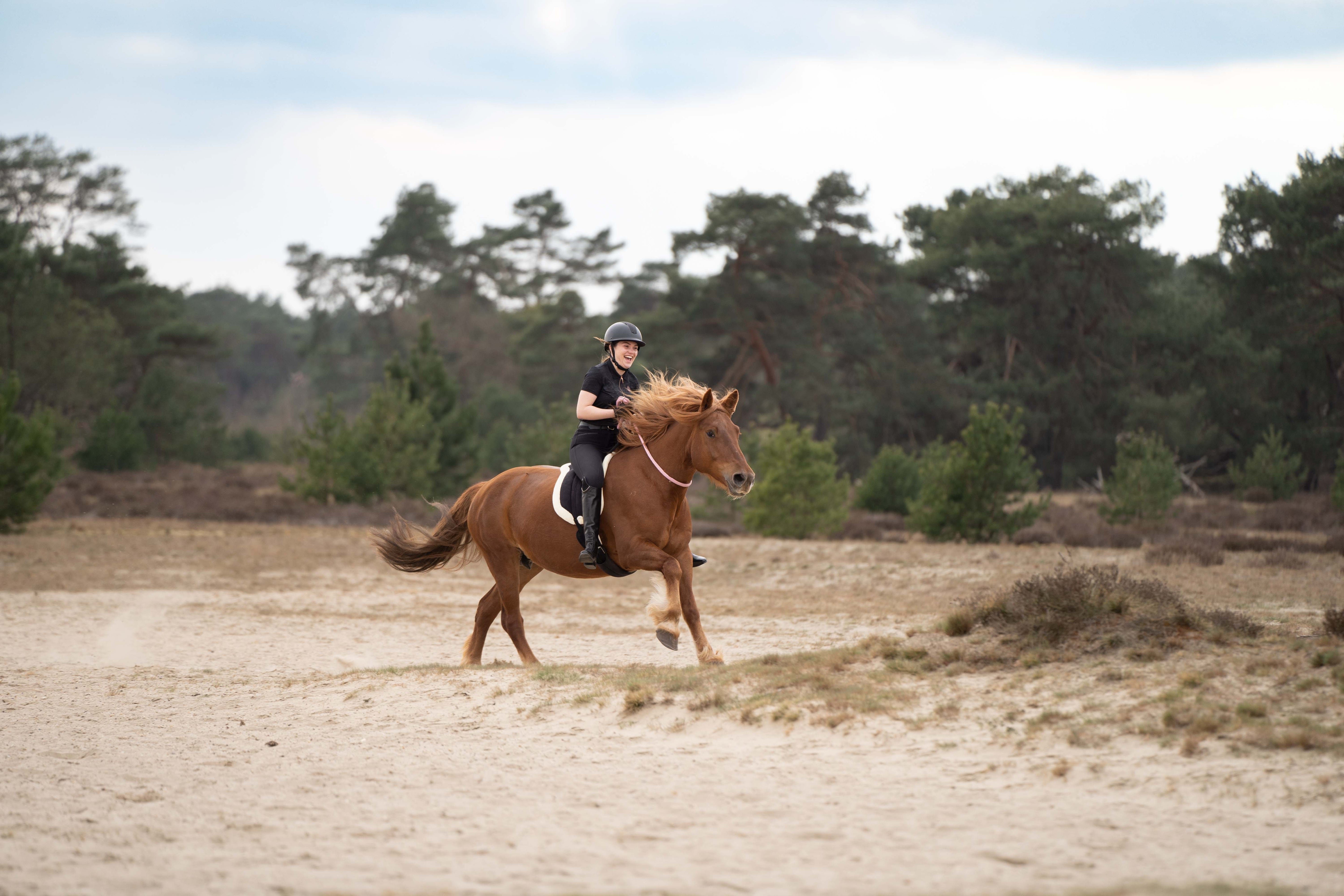 Bareback pad IRHFree ride