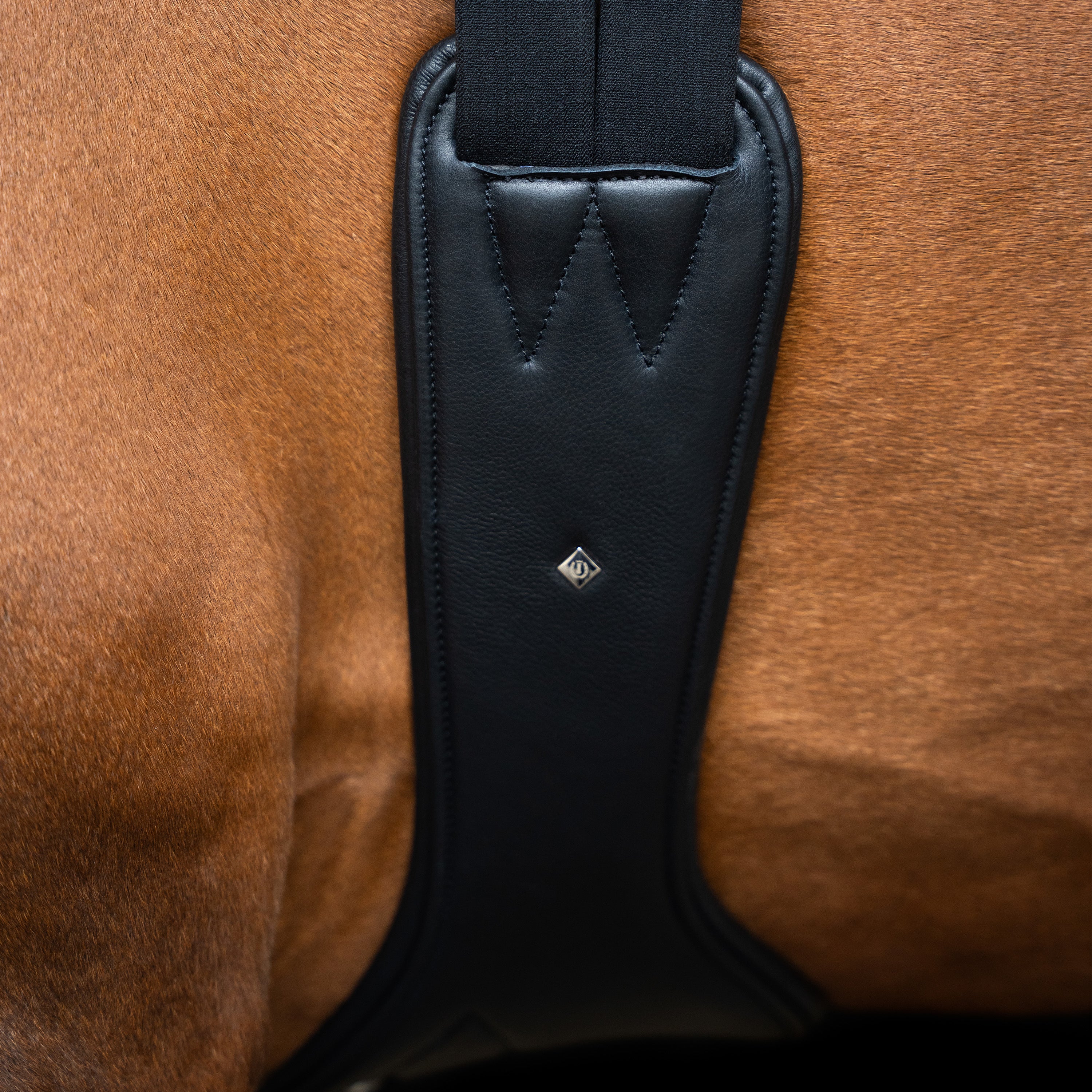 Jumping girth IRH anatomic with spring buckles
