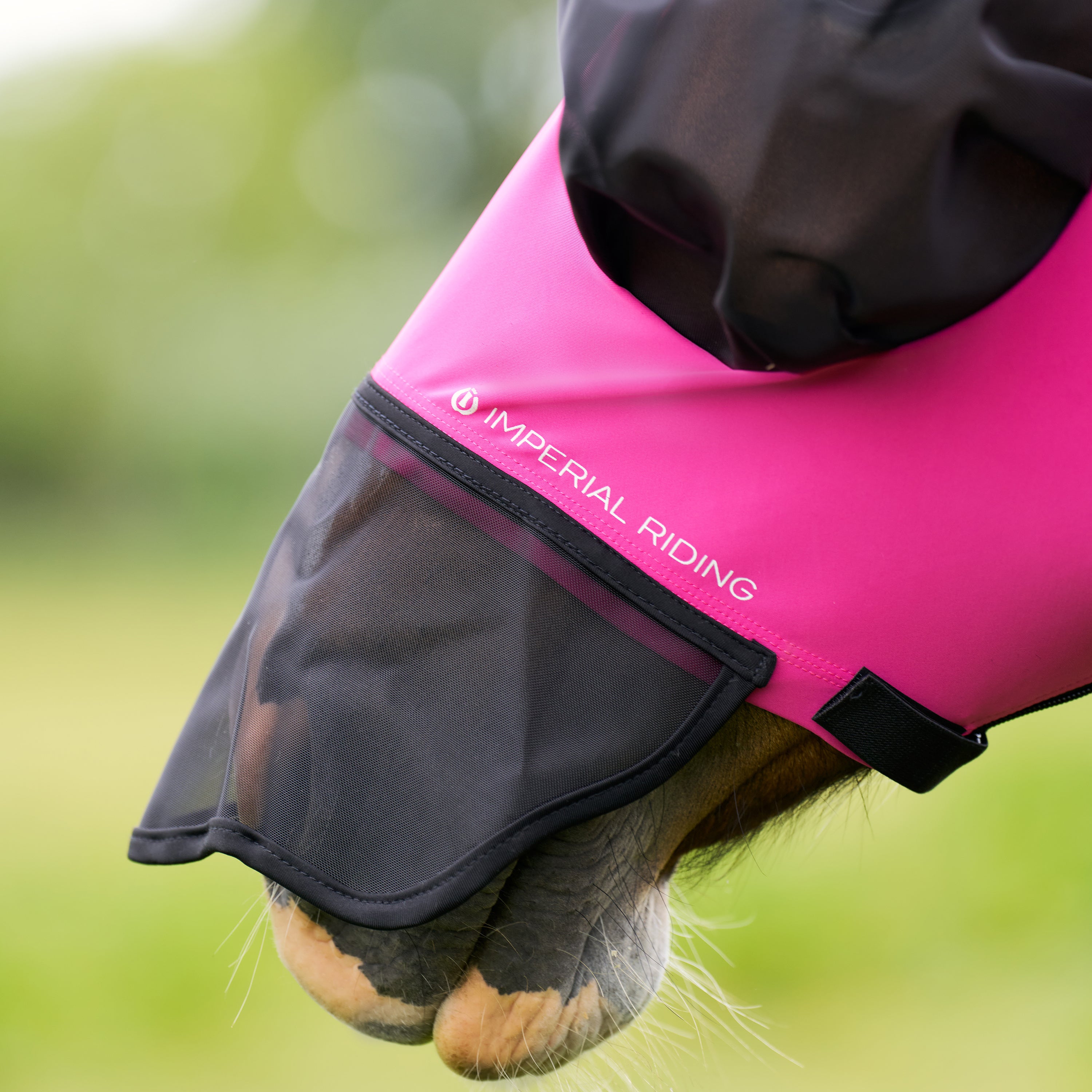 Flymask with nose IRHTrail ride