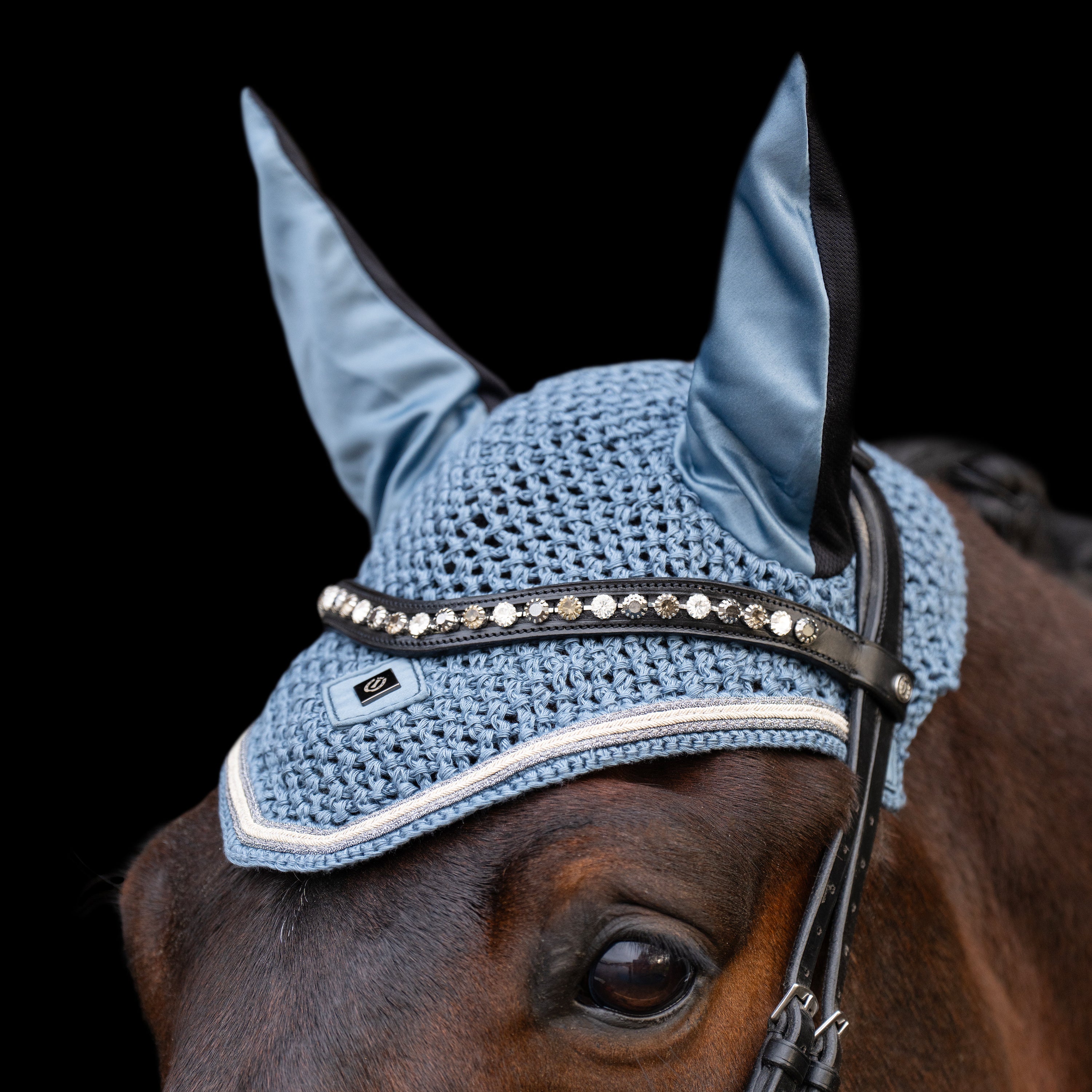 Flyveil IRHLenny