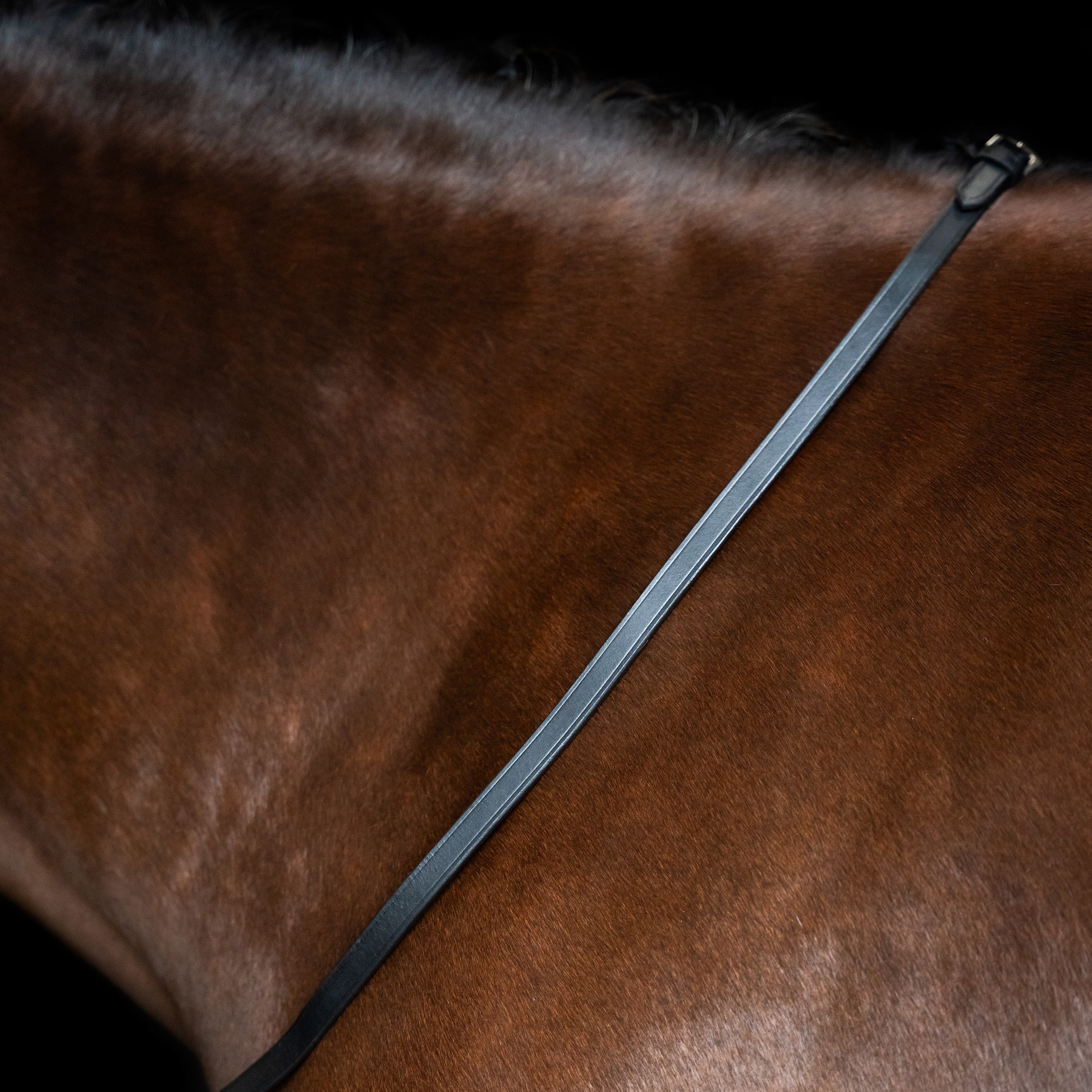 Reins IRH smooth leather