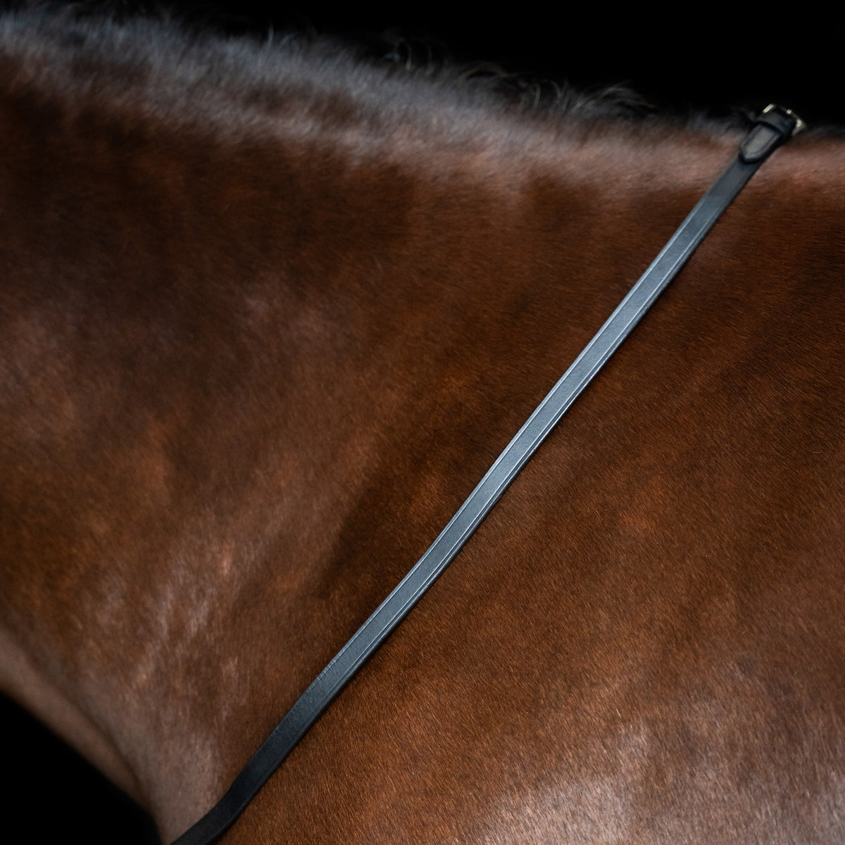 Reins IRH smooth leather