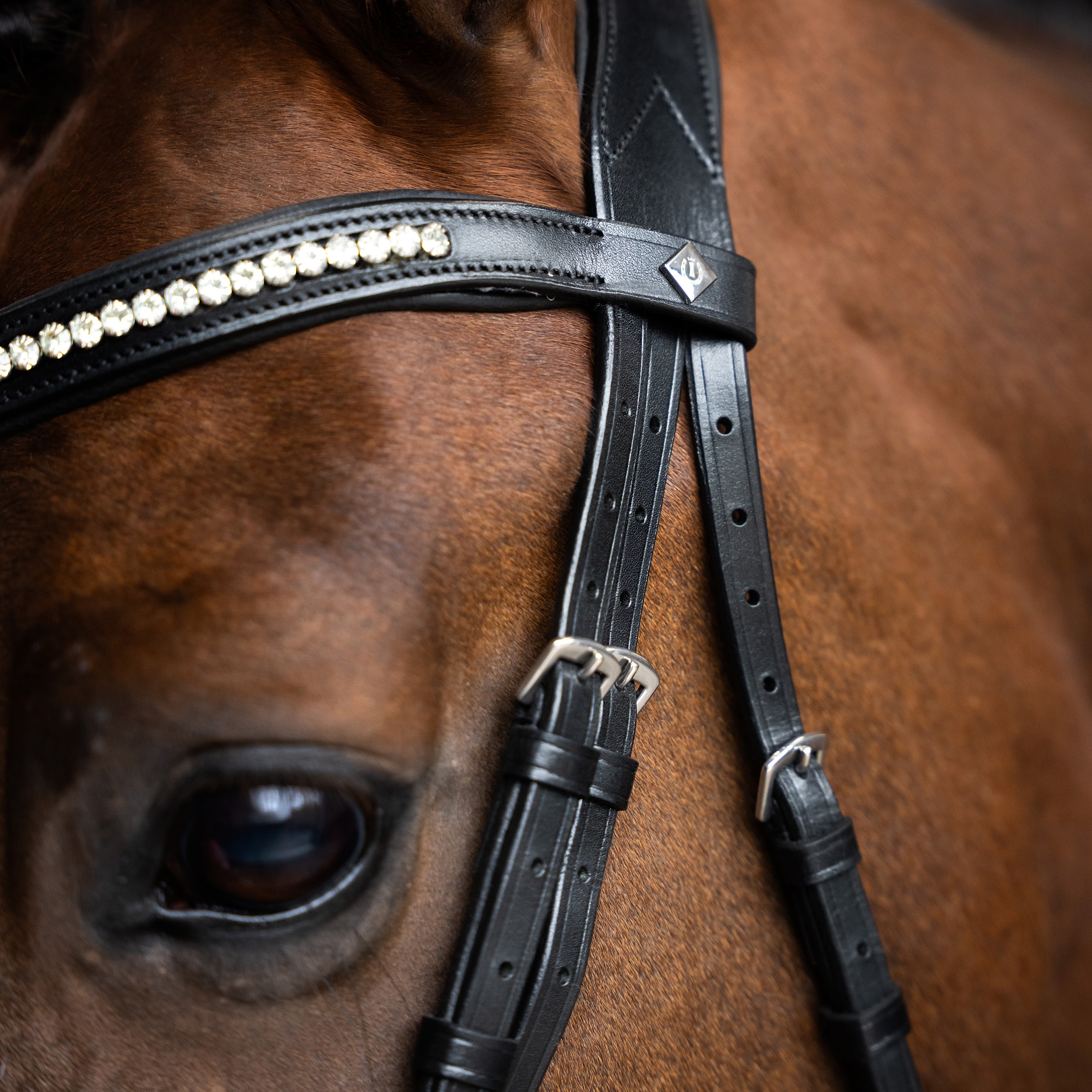 Bridle IRH combined noseband simple