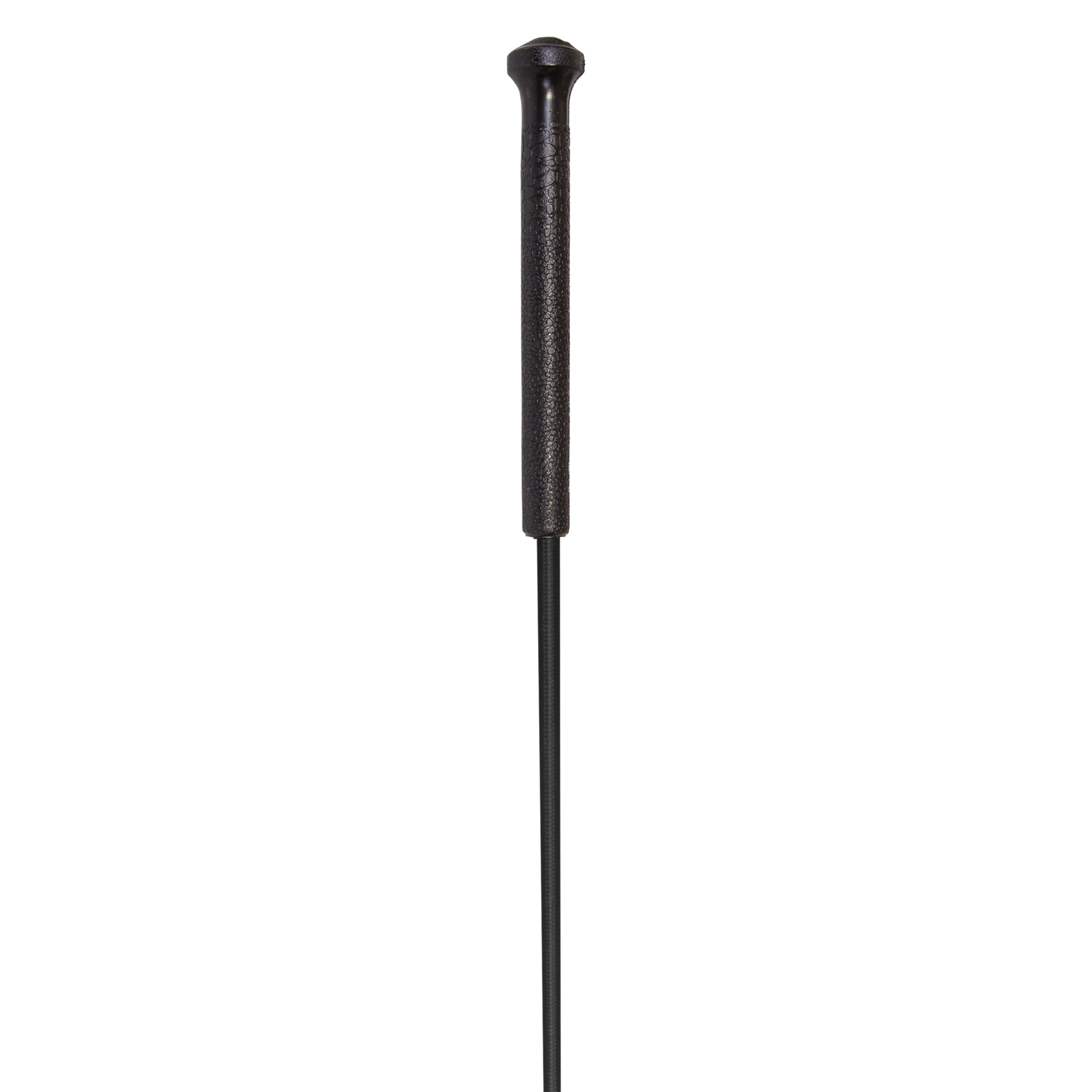 Riding whip IRHEconomic
