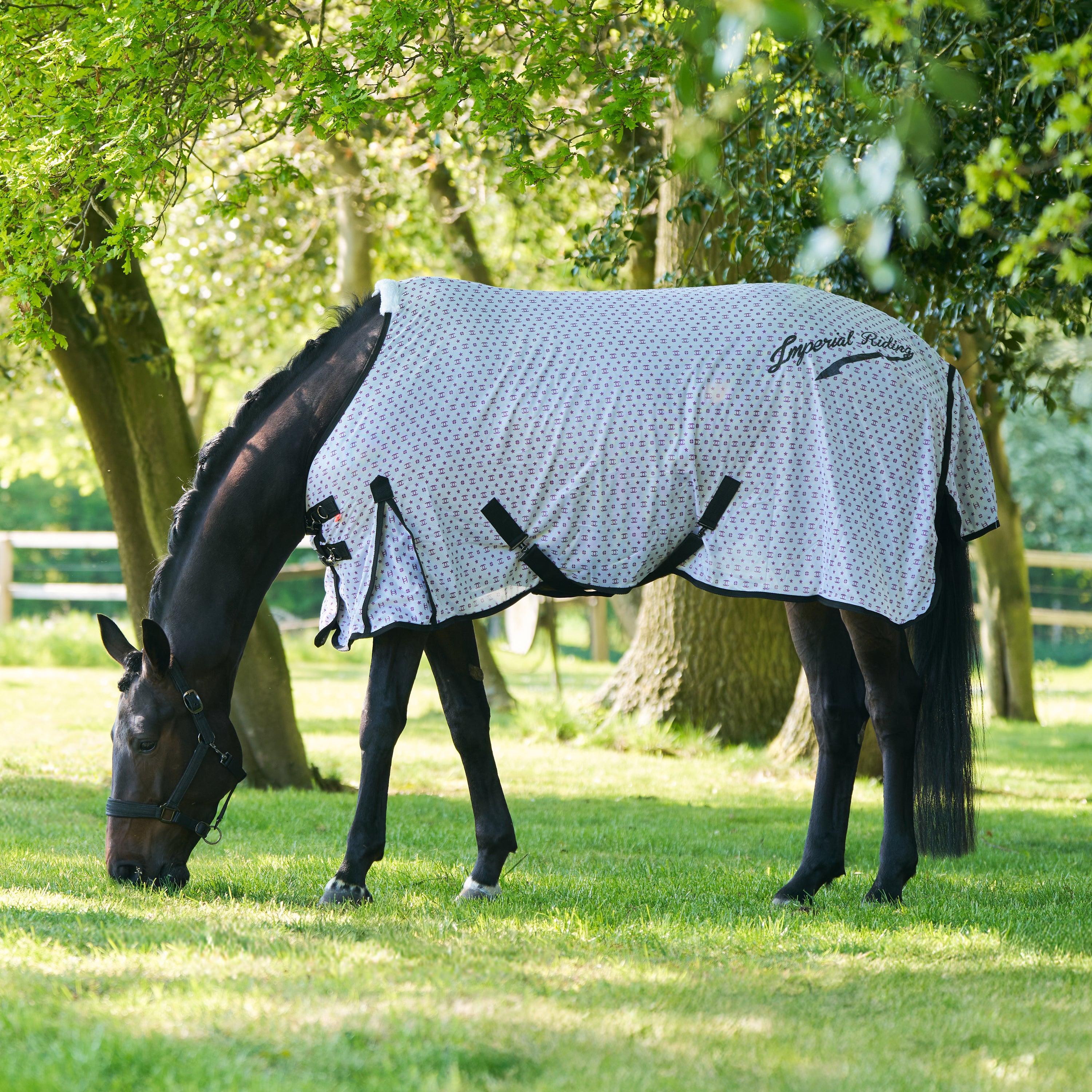 Fly blanket IRHCarlys