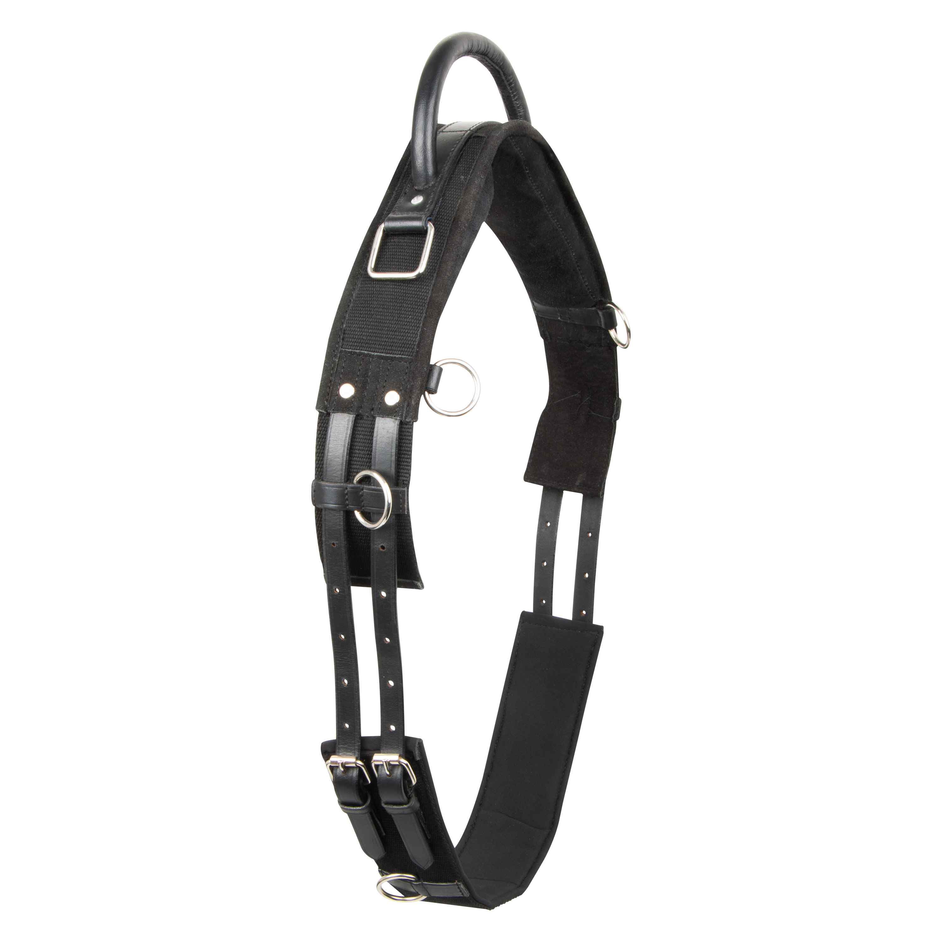 Lunging girth IRHVito