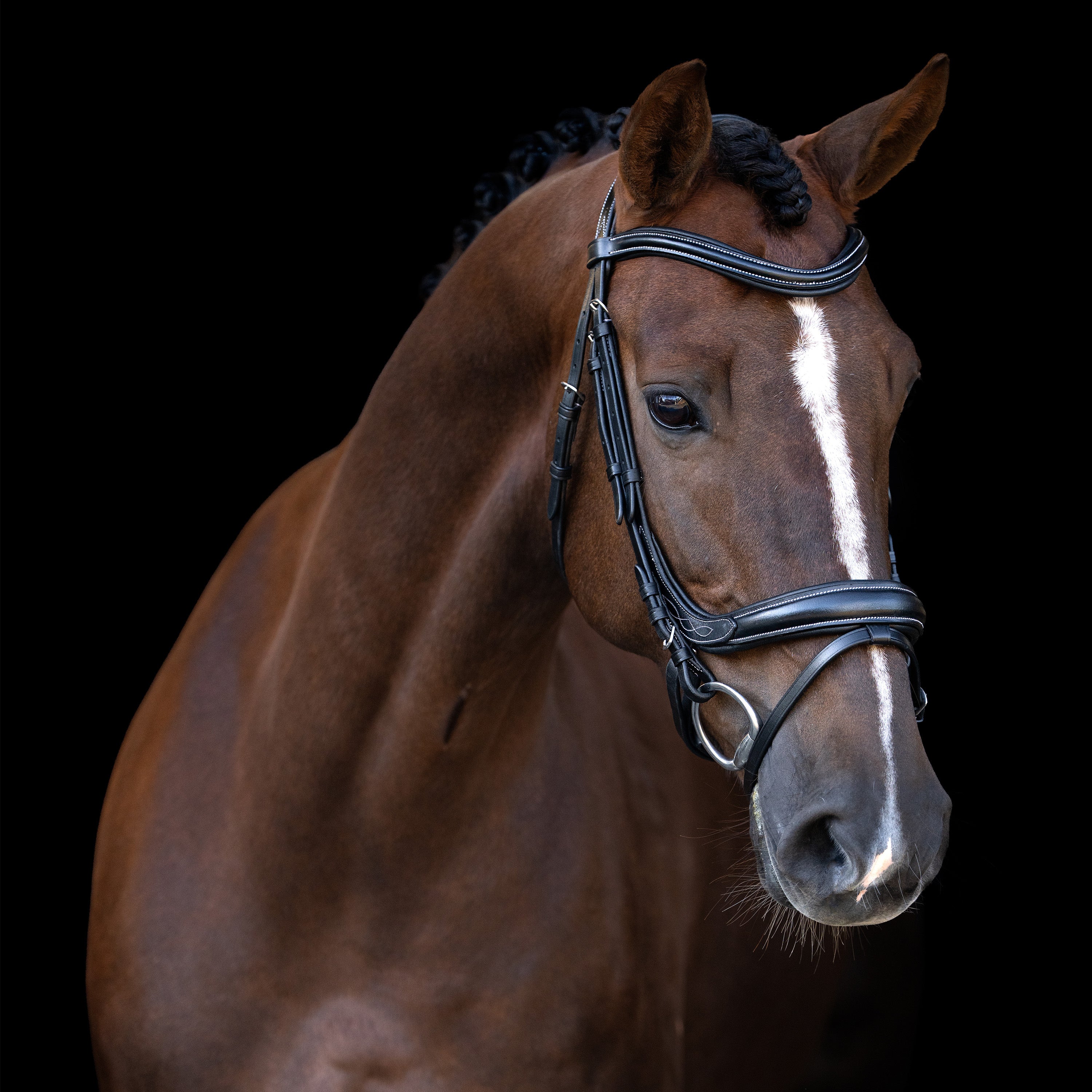 Bridle IRH with curved cut English noseband