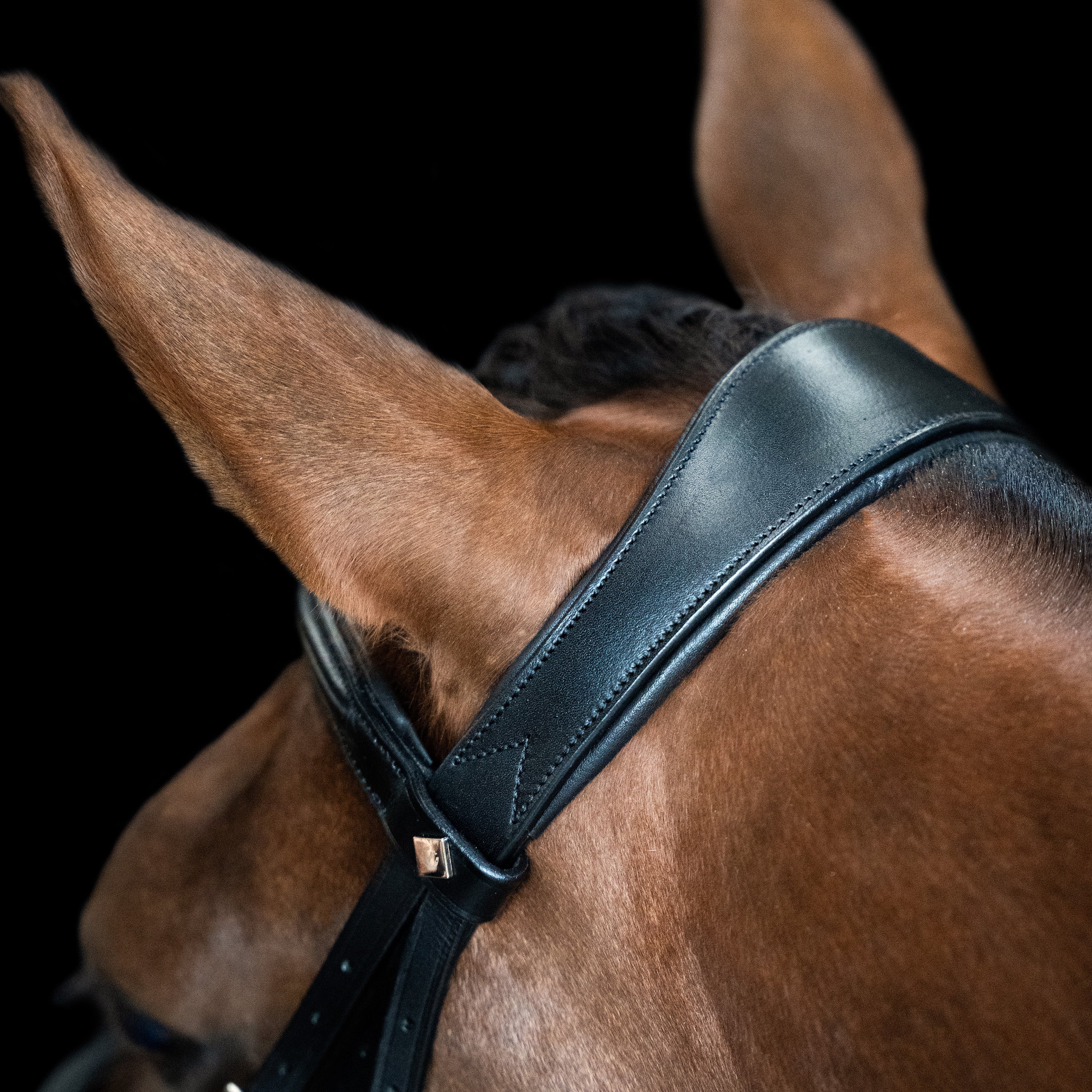 Bridle English IRH combined sleek
