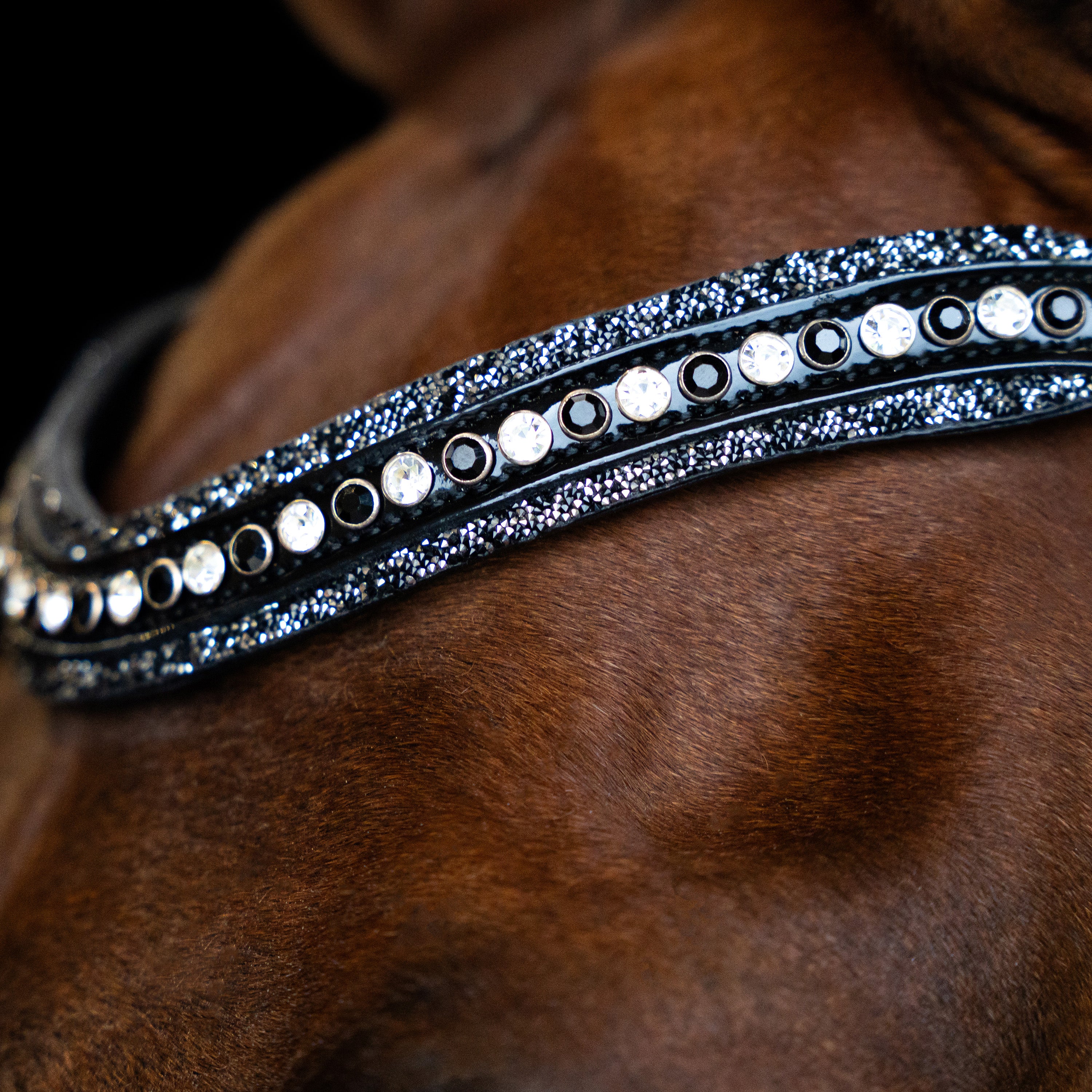 Browband IRHMaxima