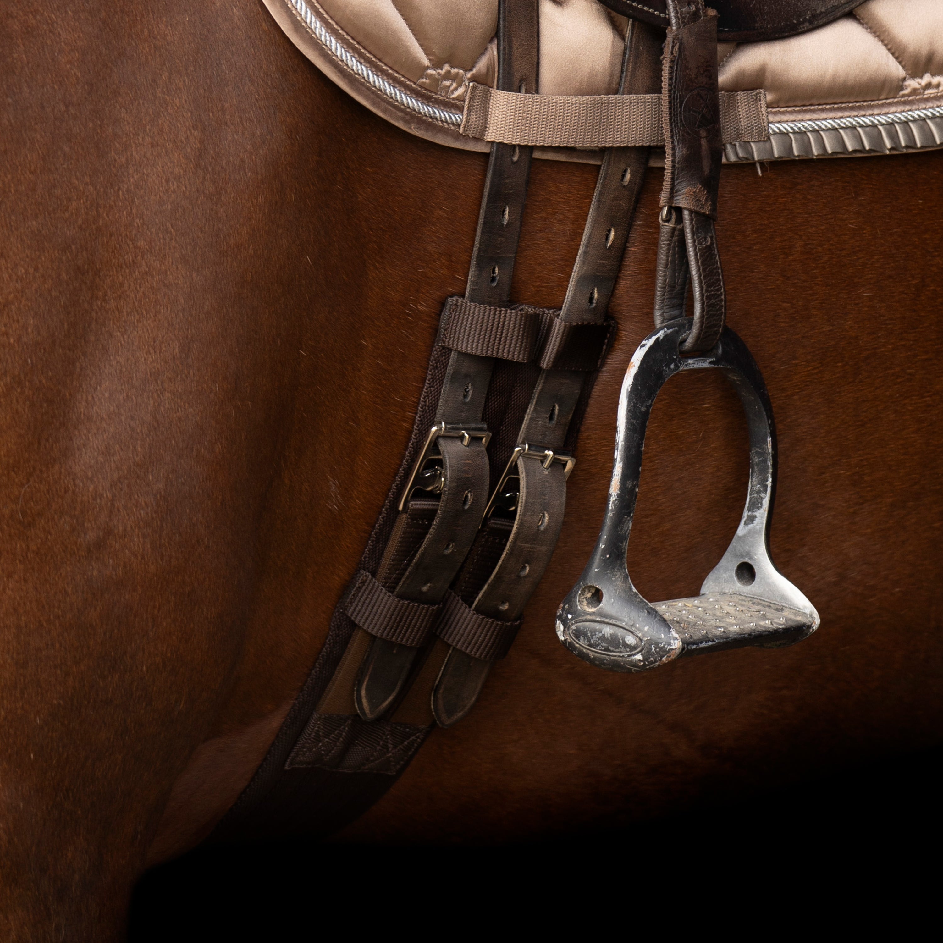 Dressage girth IRHCore