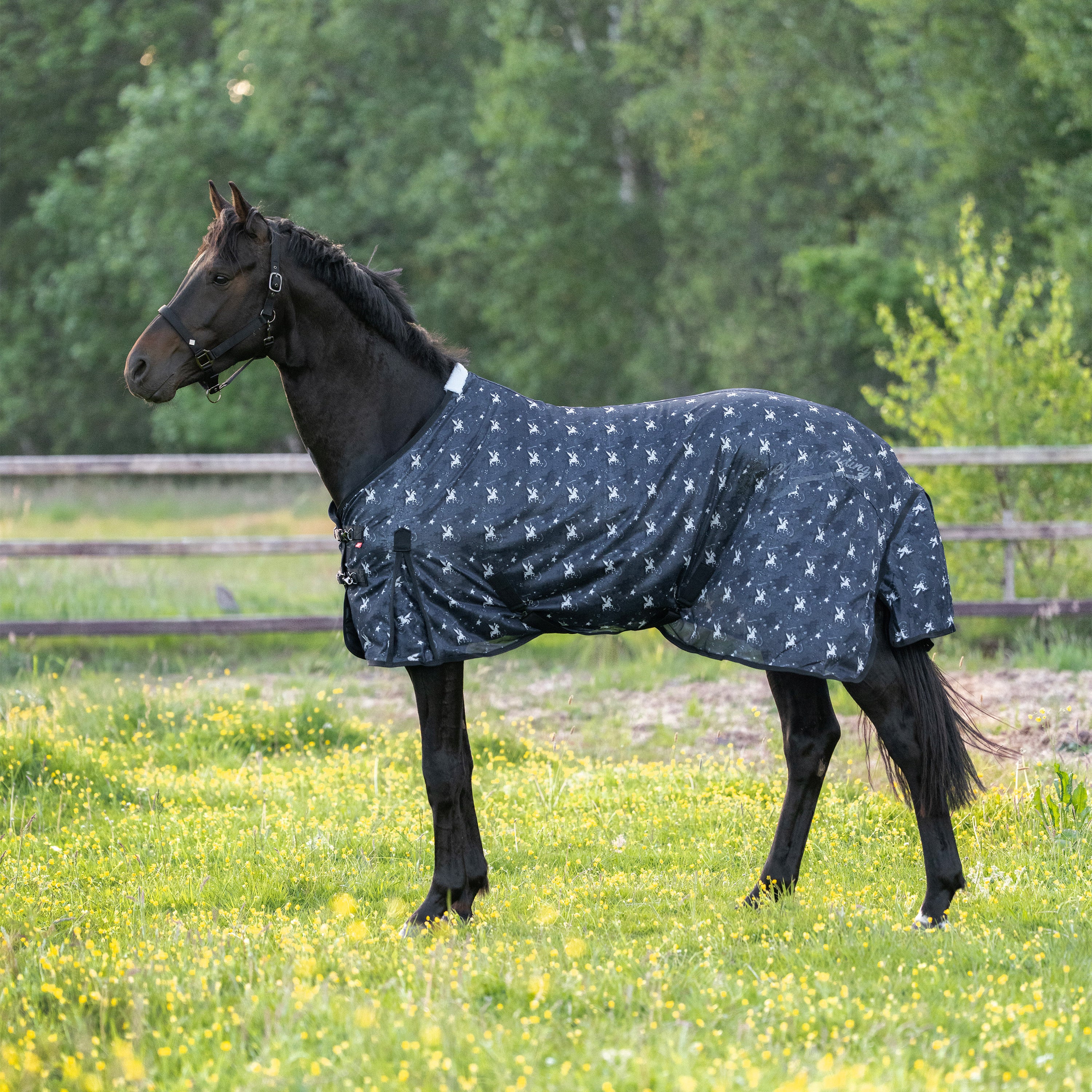 Fly blanket IRHCarlys
