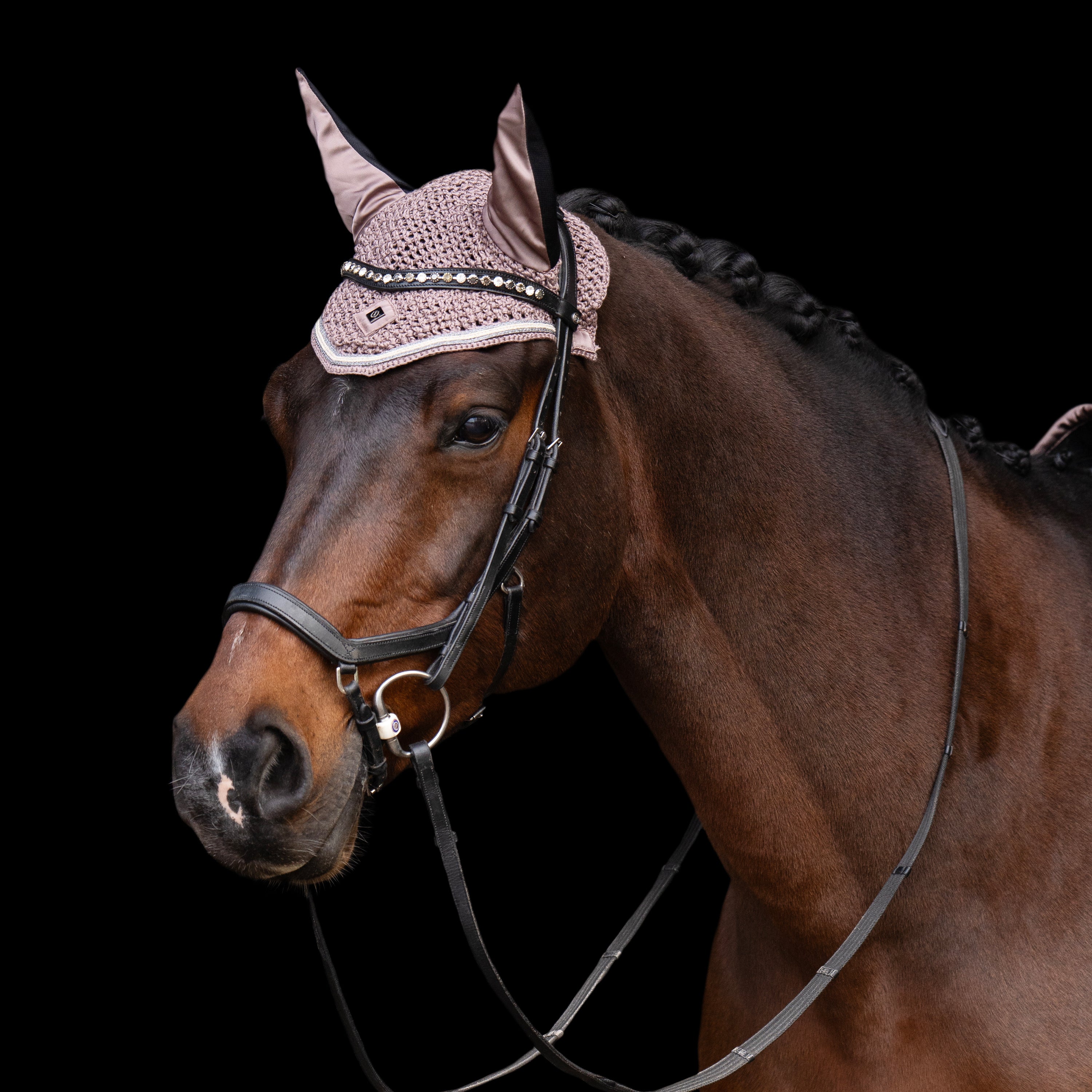 Flyveil IRHLenny