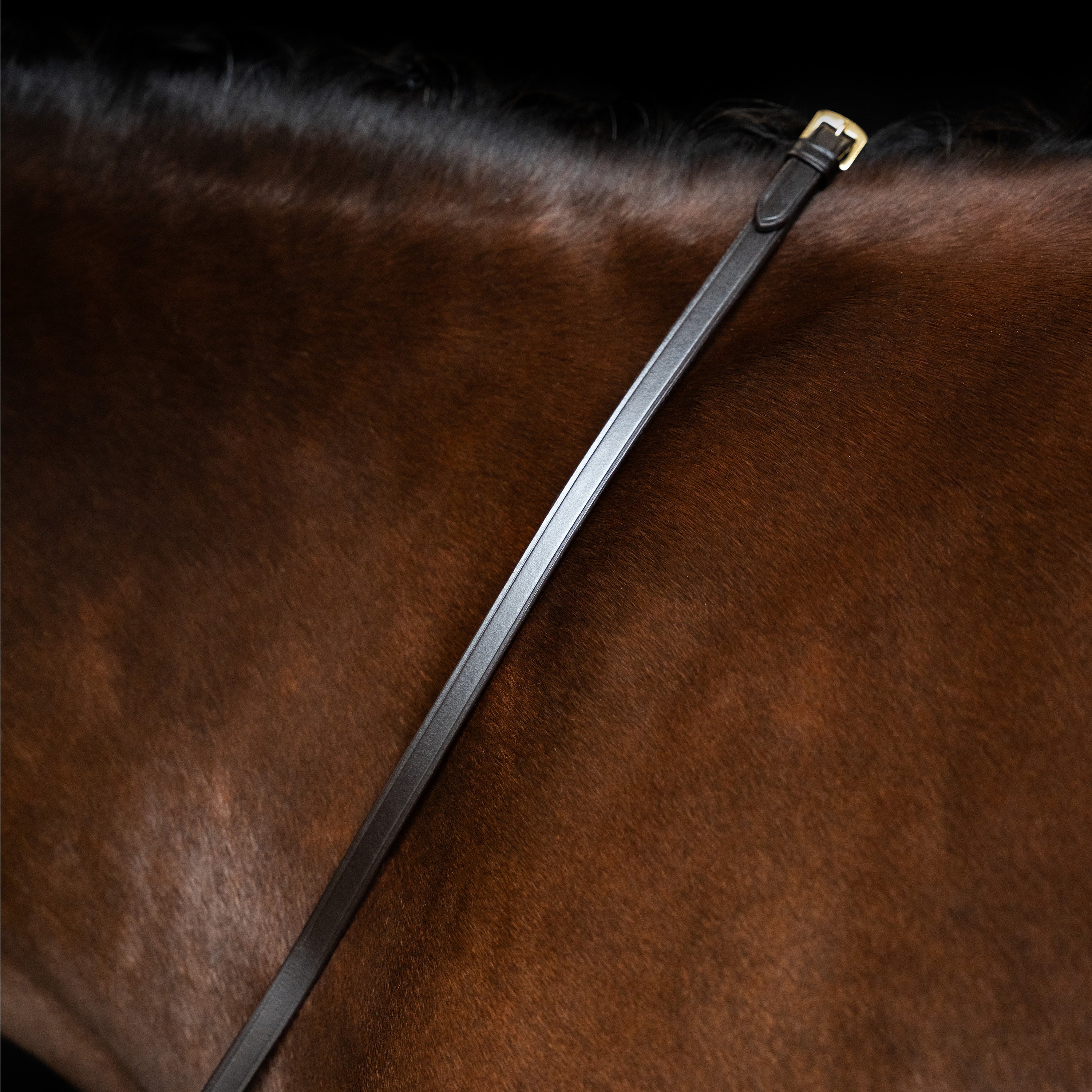 Reins IRH smooth leather