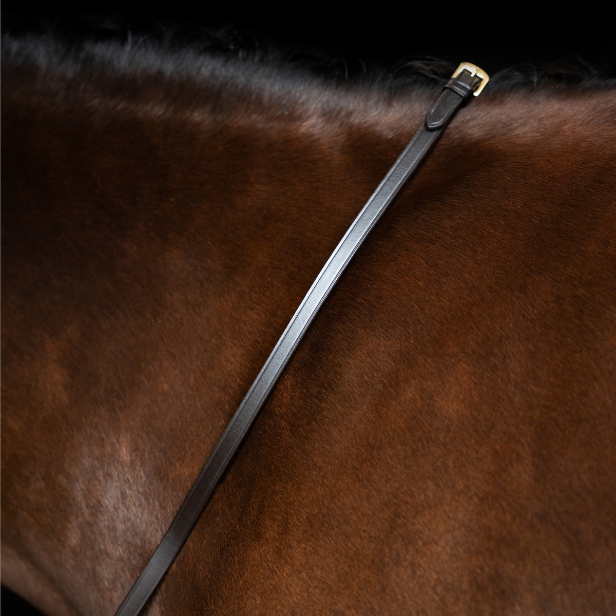 Reins IRH smooth leather