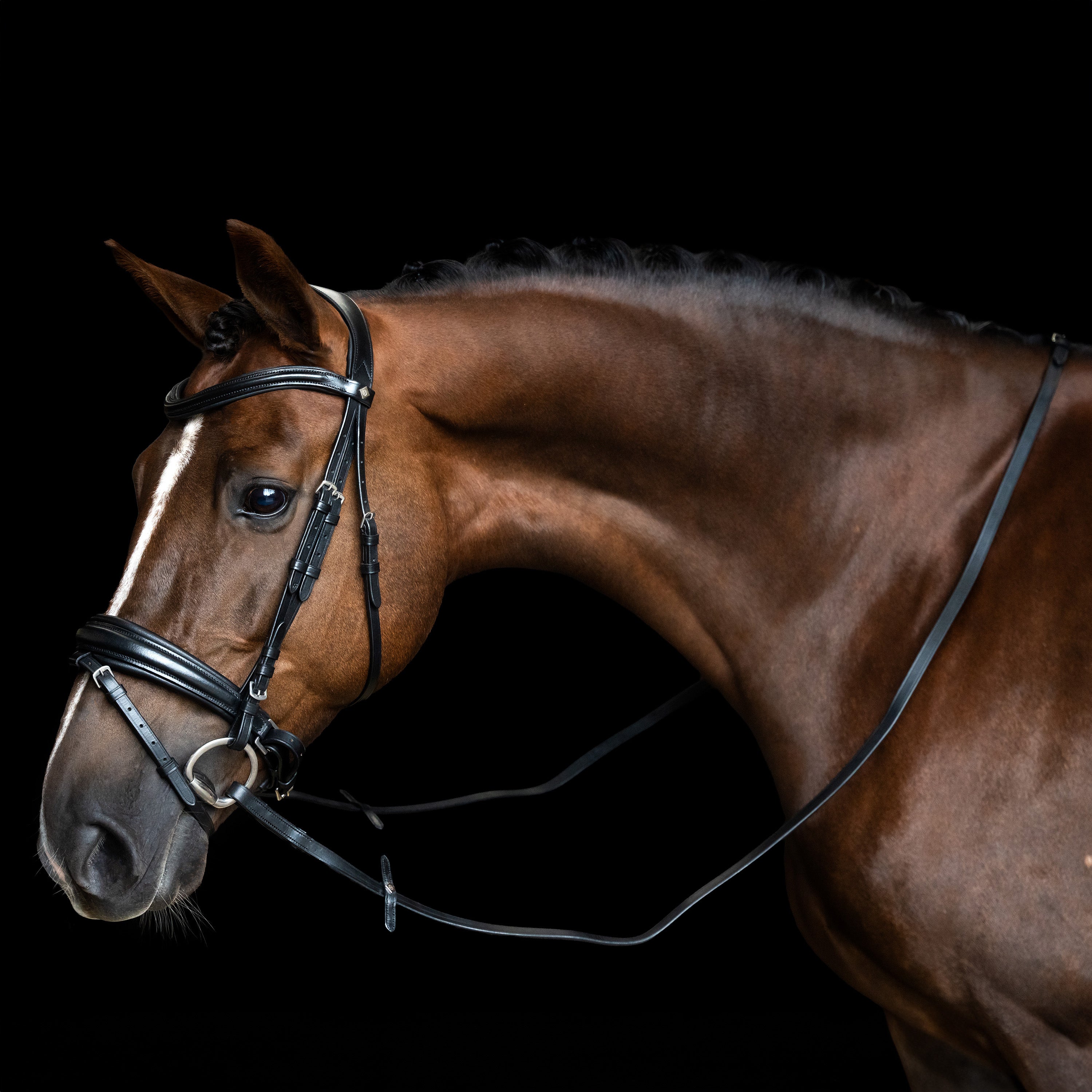 Reins IRH smooth leather