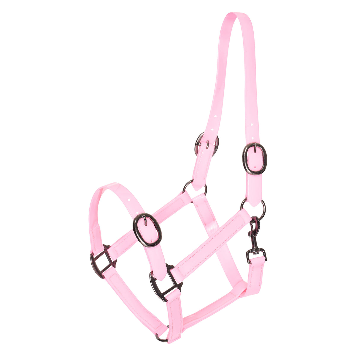 Headcollar IRHSuper-proof Glossy