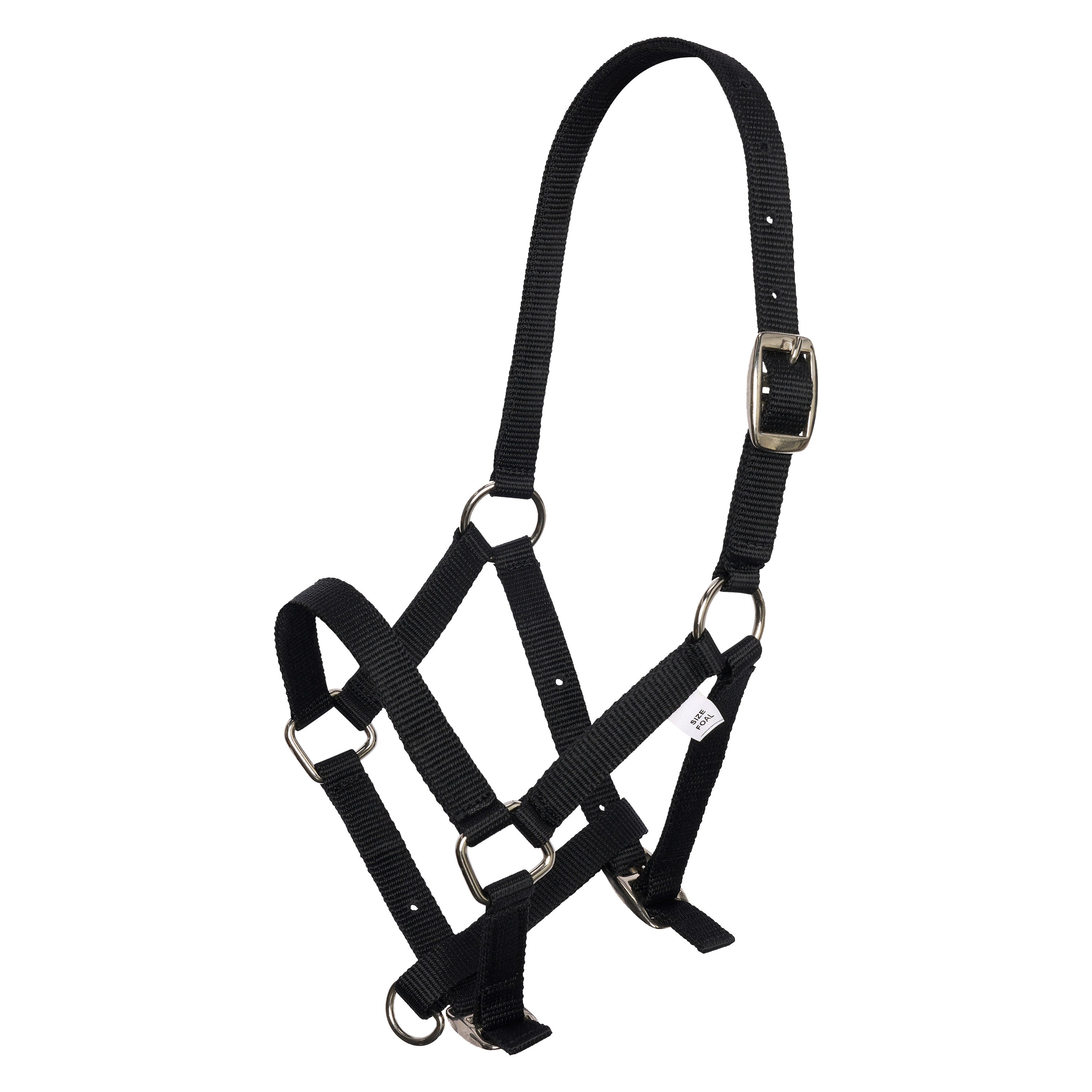 Headcollar foal IRH