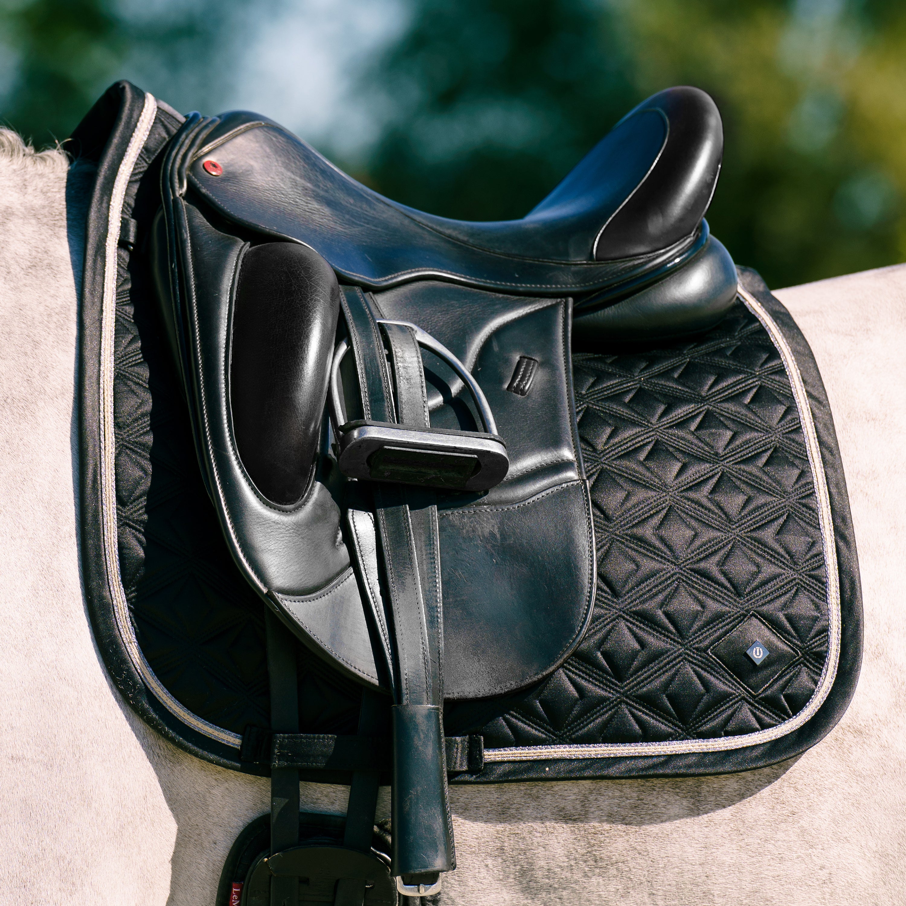 Saddlepad IRHLenny DR