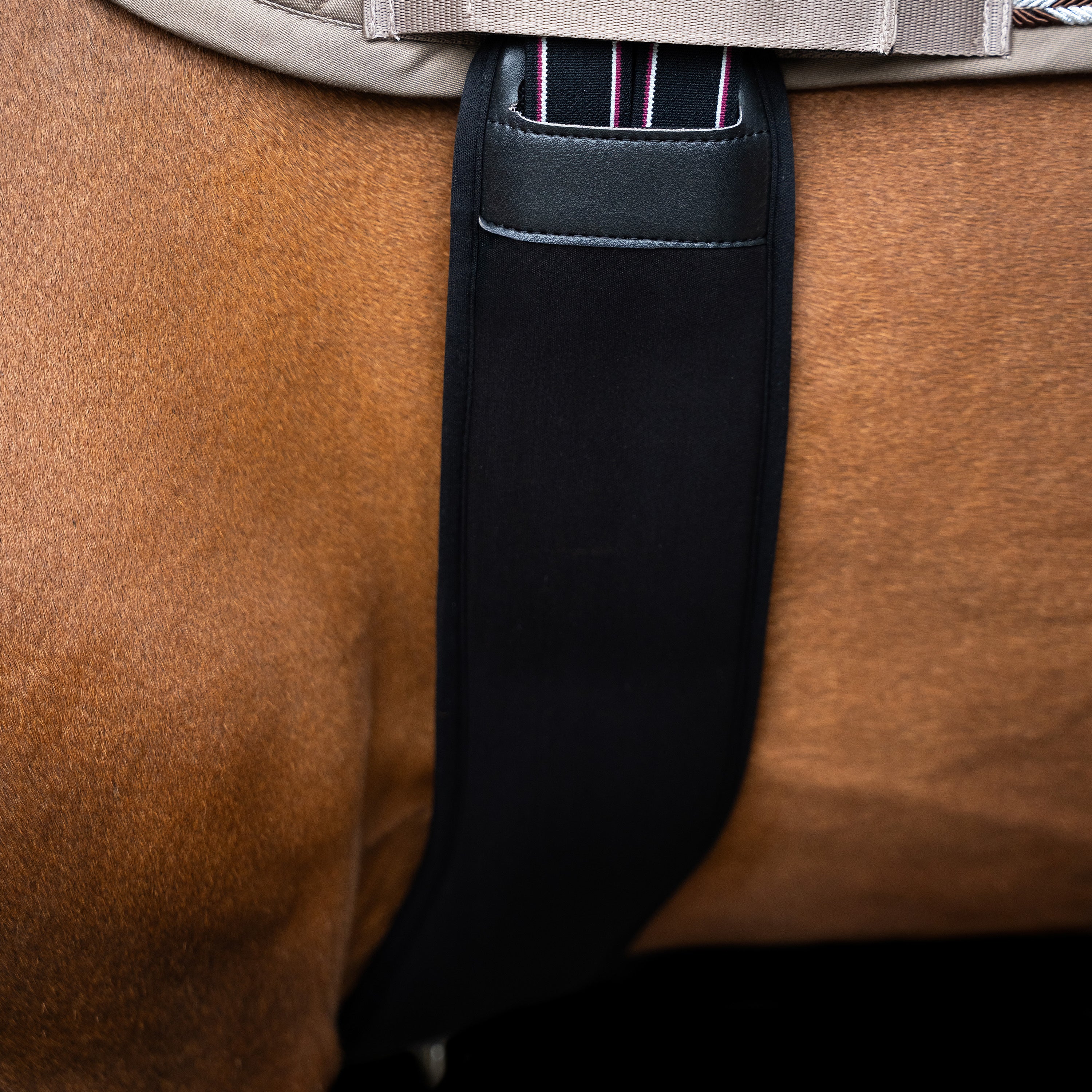 Jumping girth IRHBasic anatomic and neoprene