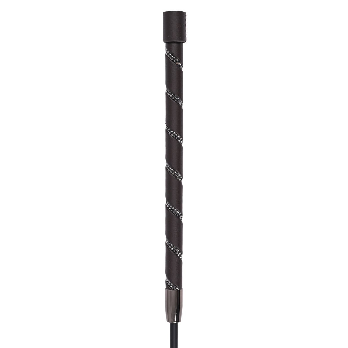 Dressage whip IRHRegal Shine