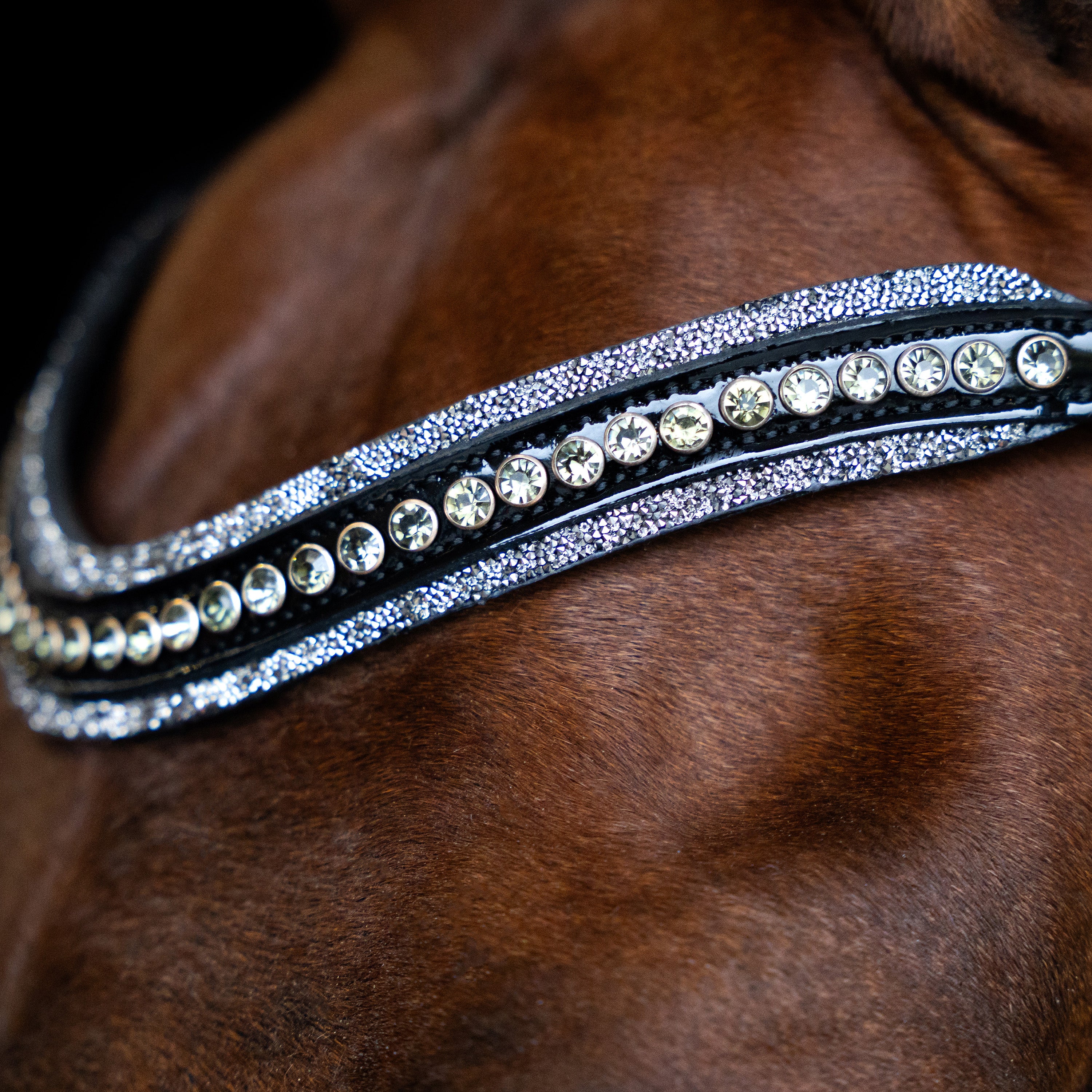 Browband IRHMaxima