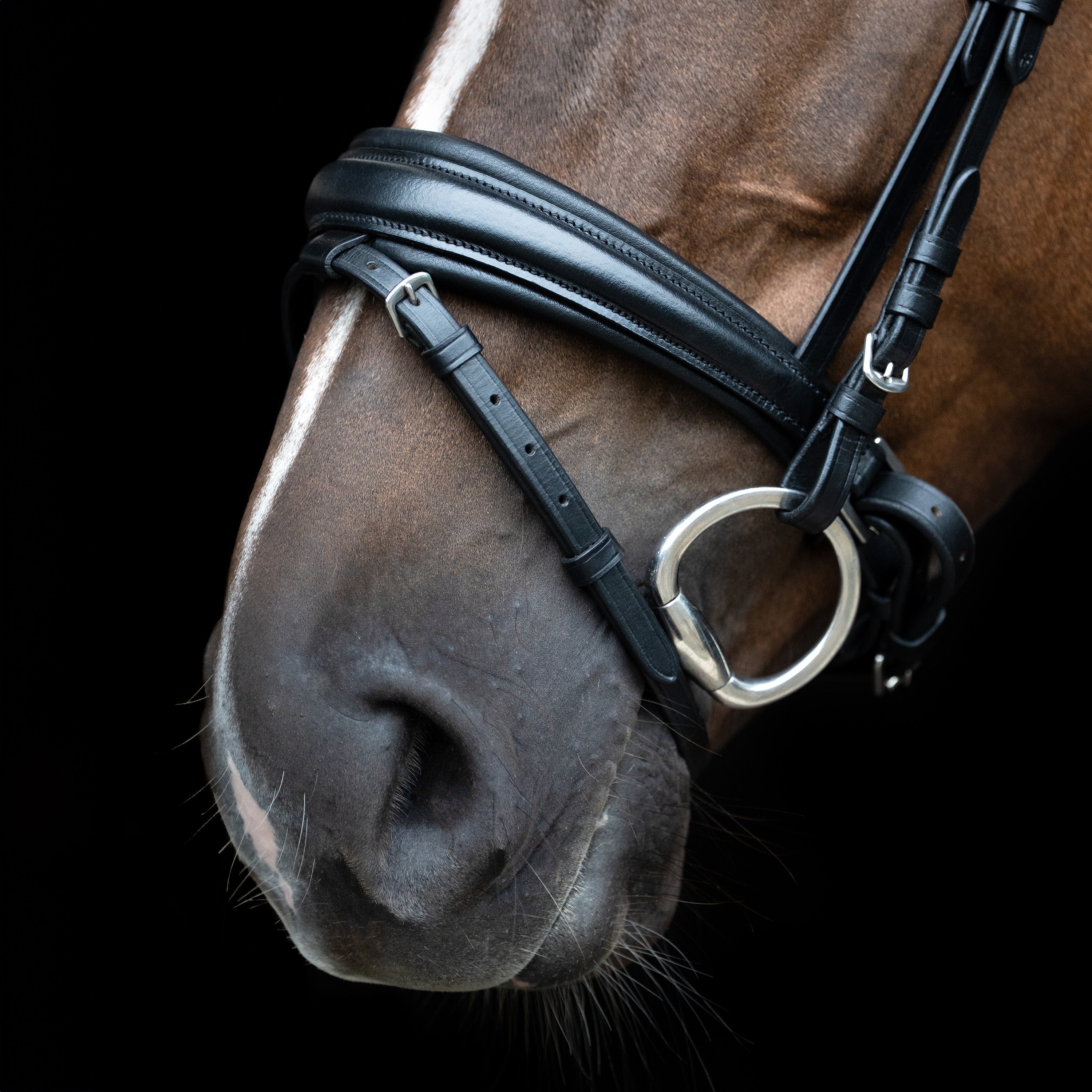 Bridle English IRH combined sleek