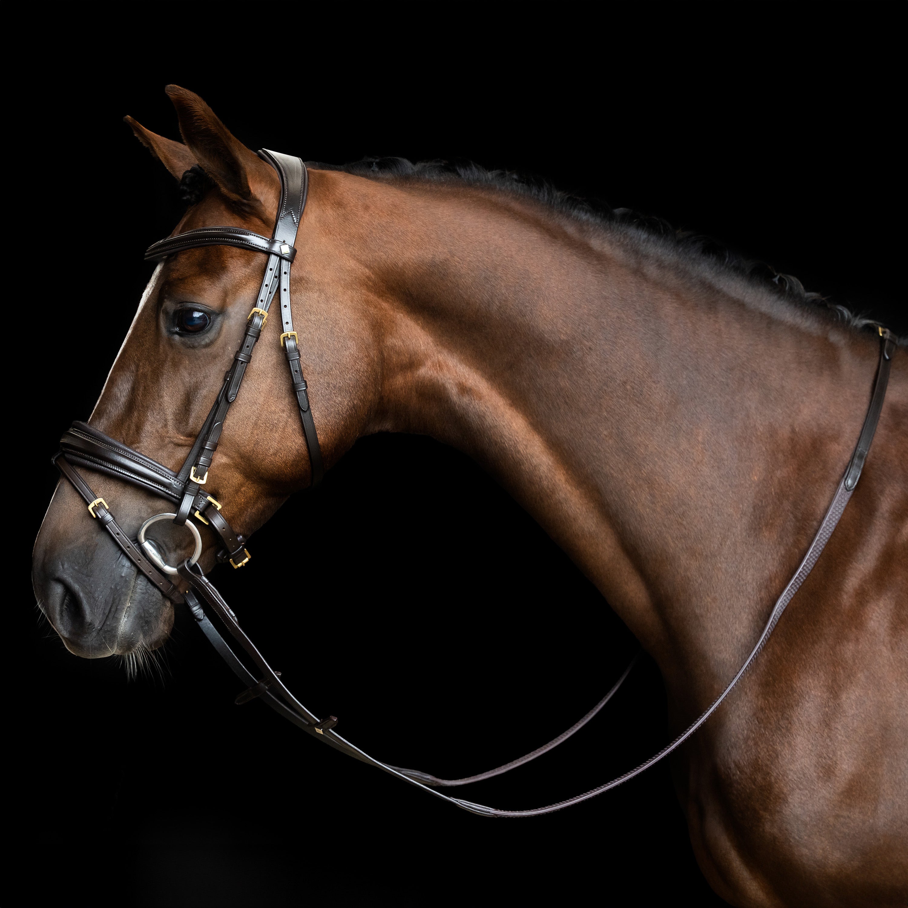 Reins IRH rubber with polka dot
