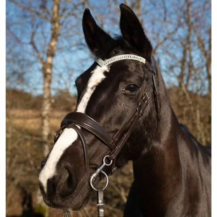 V-format silver pannband häst
