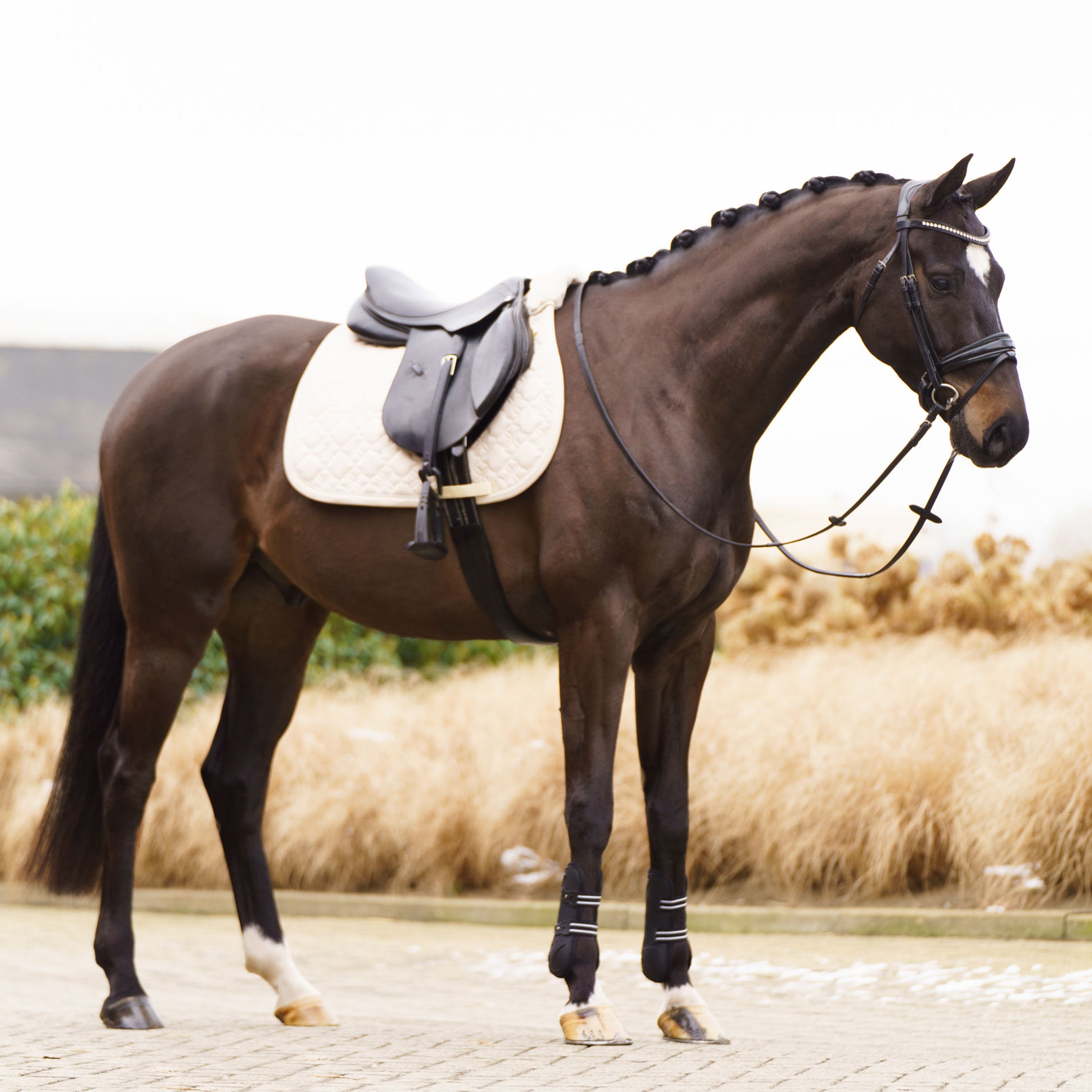 Saddlepad IRHSimone GP