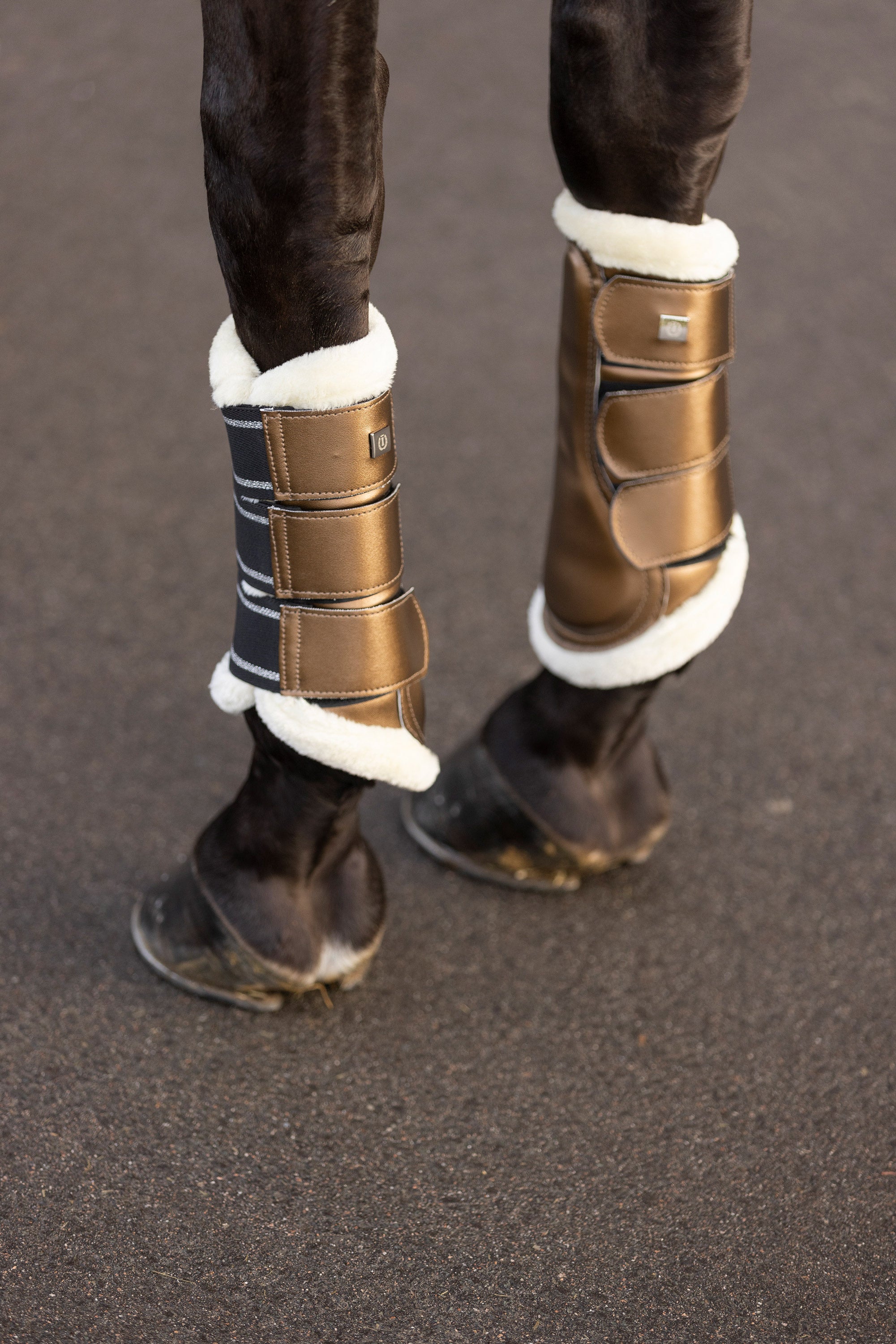 Brushing boots IRHLovely
