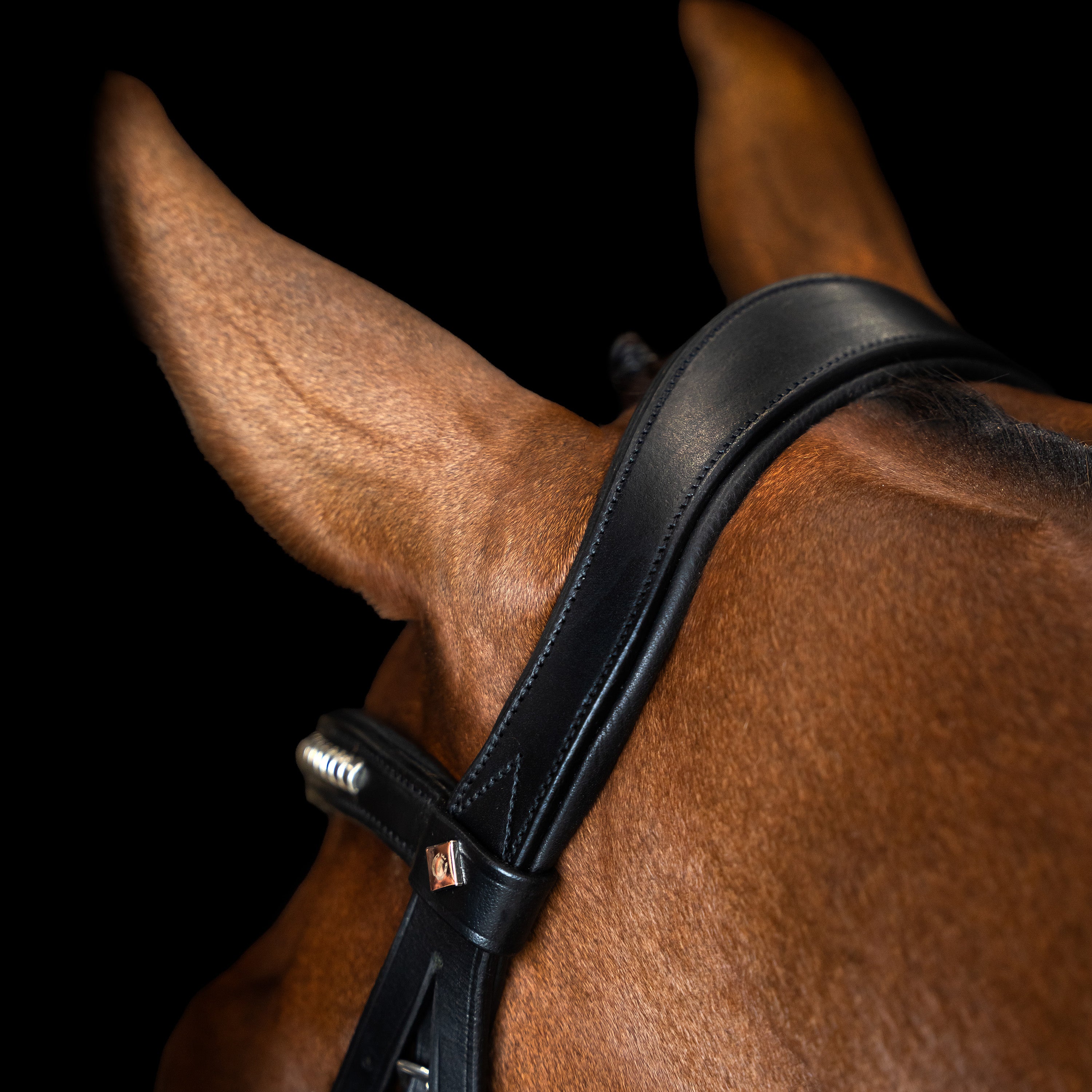 Bridle Mexican IRH